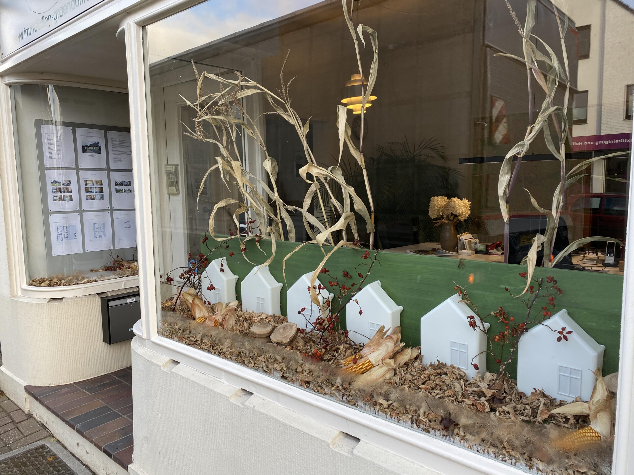 Weiße Häuser und Pflanzen hinter einem Fenster.