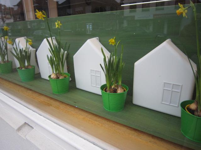Grüne Töpfe mit gelben Blumen und weißen Häusern am Fenster.