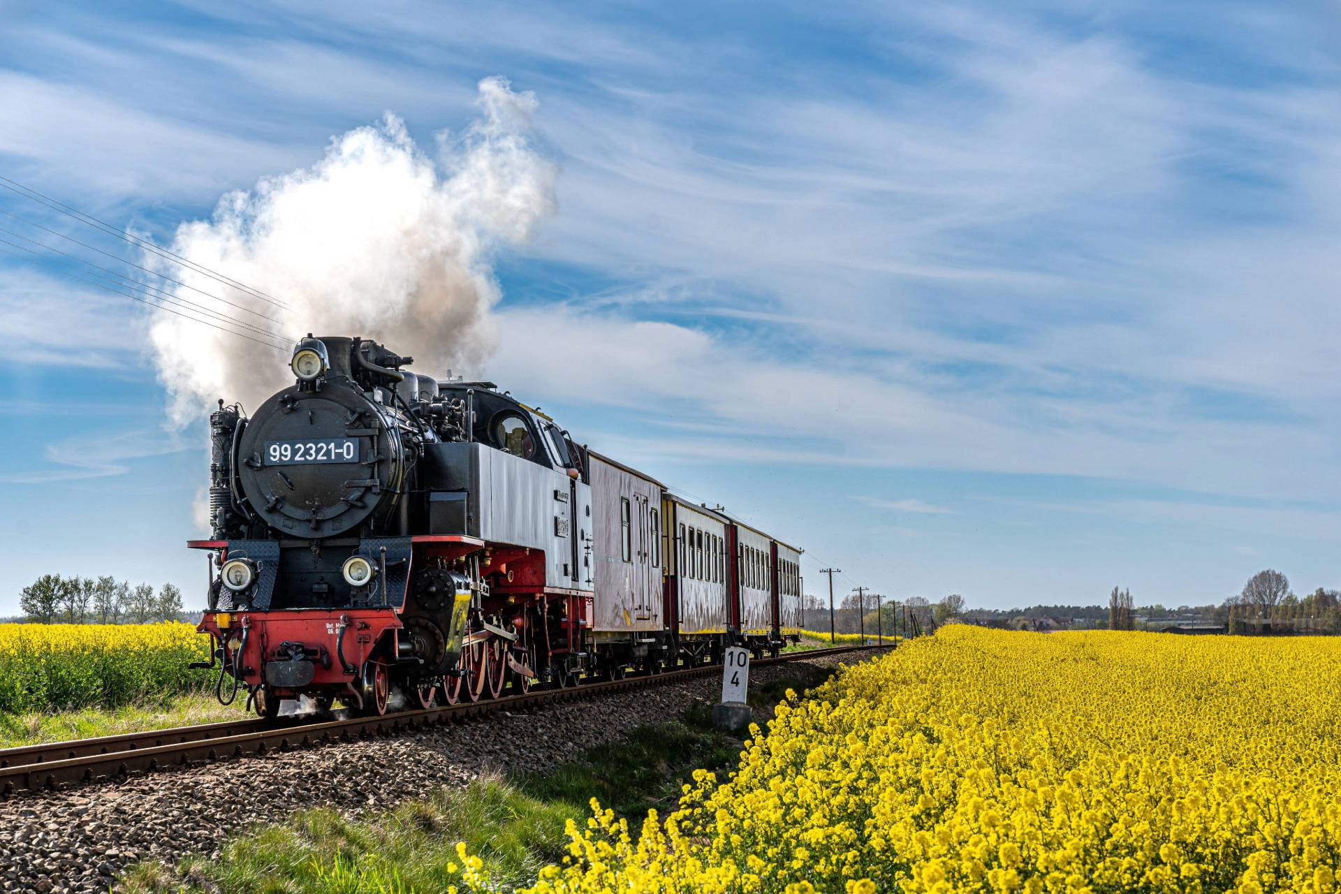 Historische Dampflokomotive Molli in der Küstenlandschaft bei Kühlungsborn an der Ostsee.