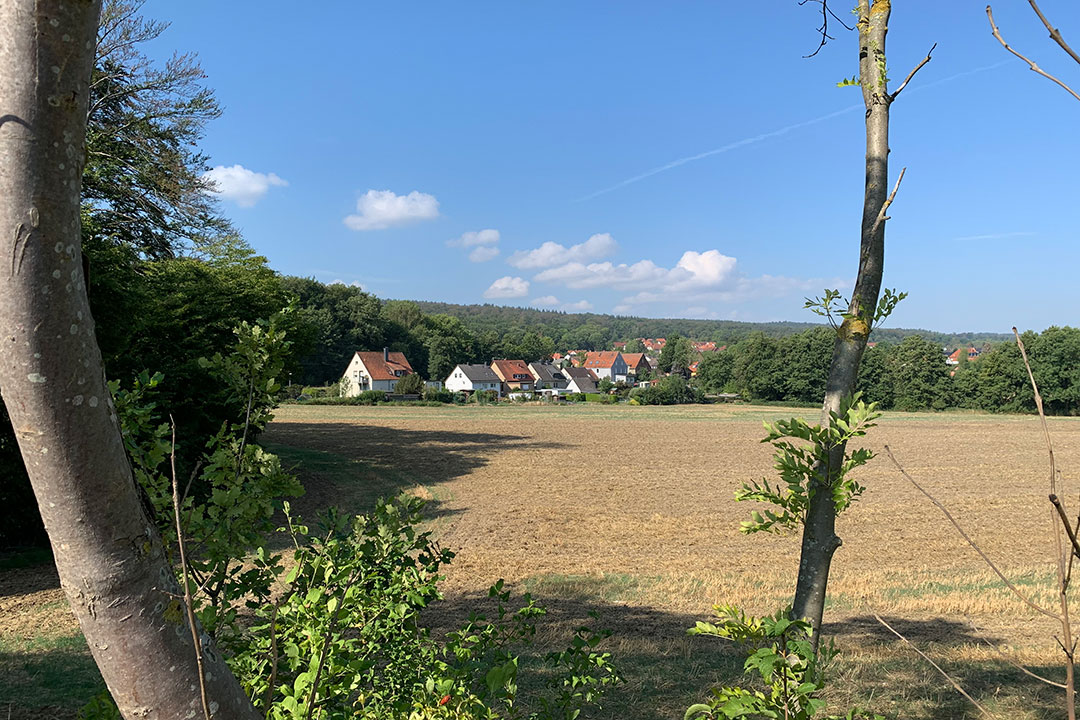 Feldansicht mit Häusern im Hintergrund.