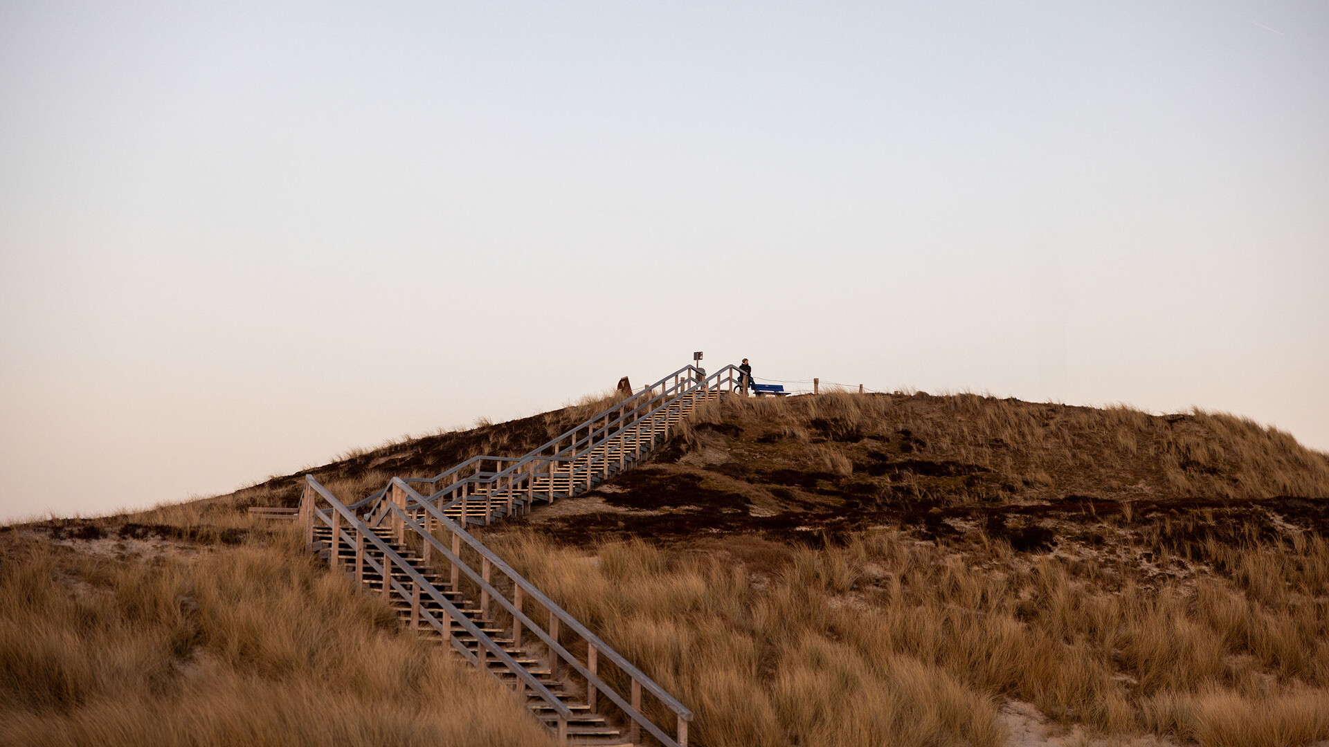 Eine Holztreppe führt auf eine mit trockenem Gras bewachsene Sanddüne, auf der bei klarem Himmel eine Person zu sehen ist.