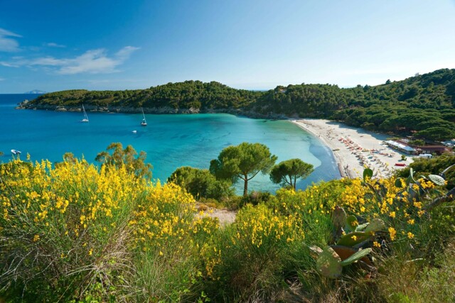 Strand auf der Insel Elba