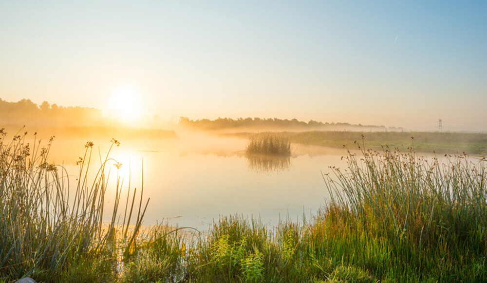 Unsere Verkaufsregion: Sandersdorf-Brehna