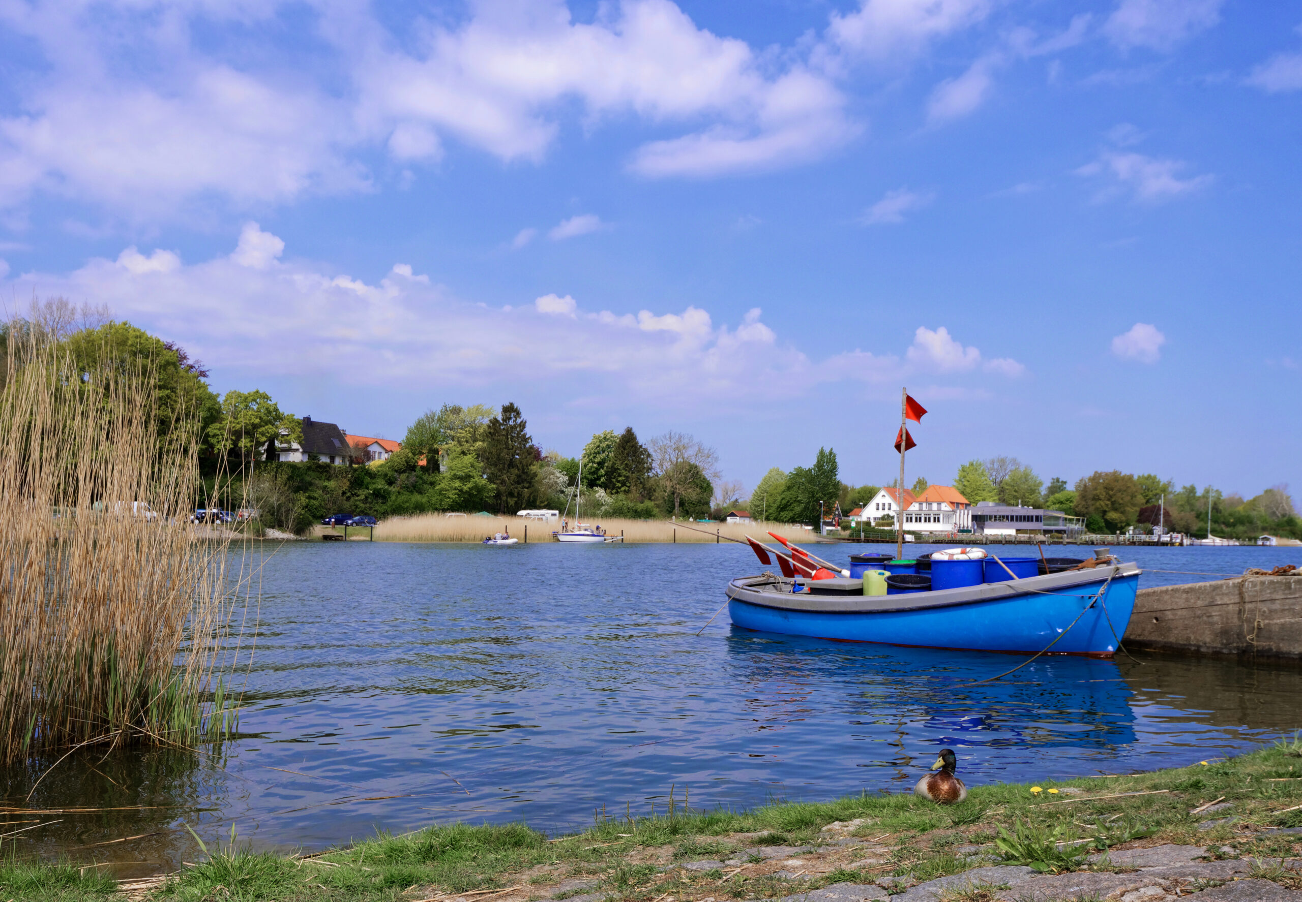 Missunde an der Schlei