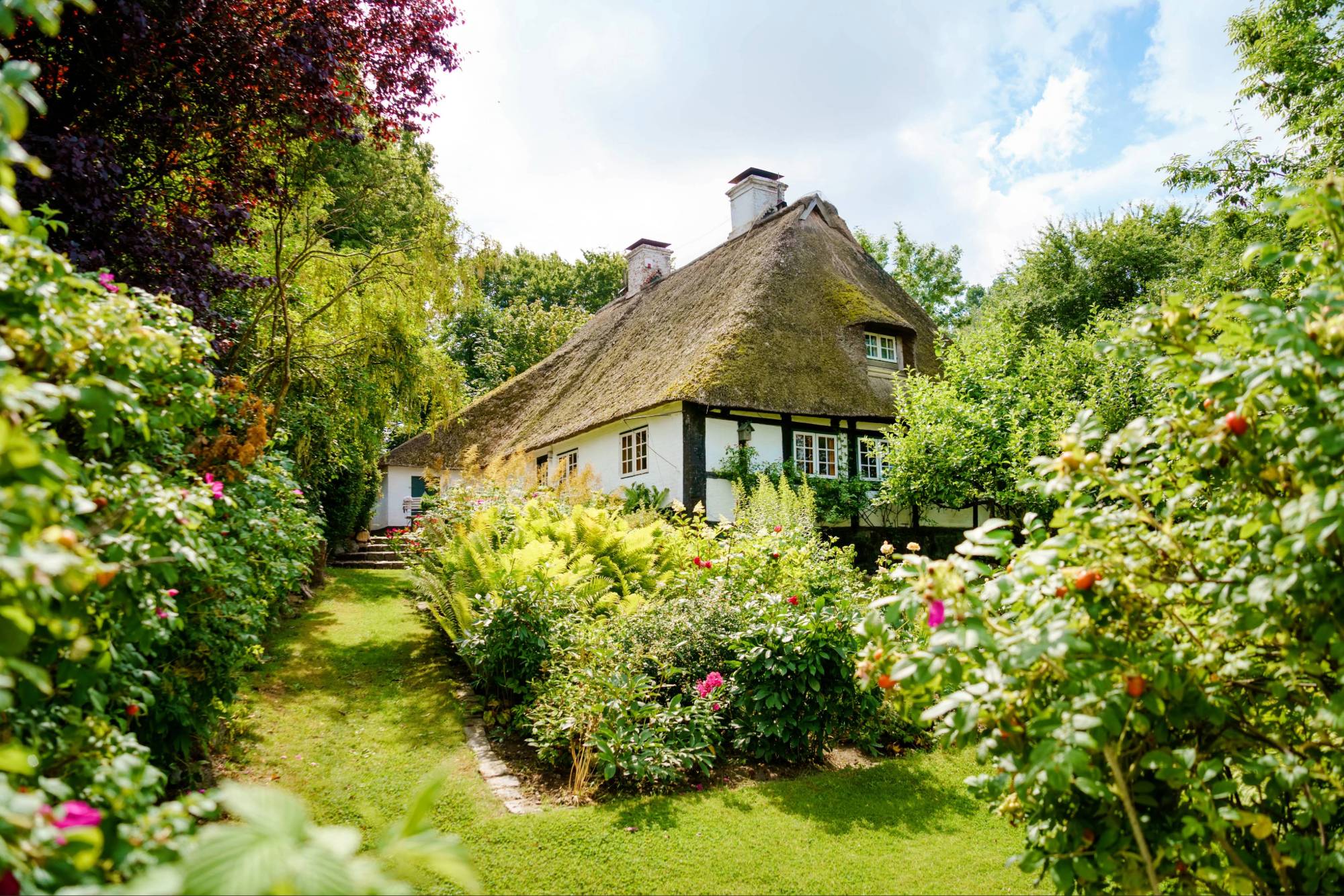 Reetdachhaus