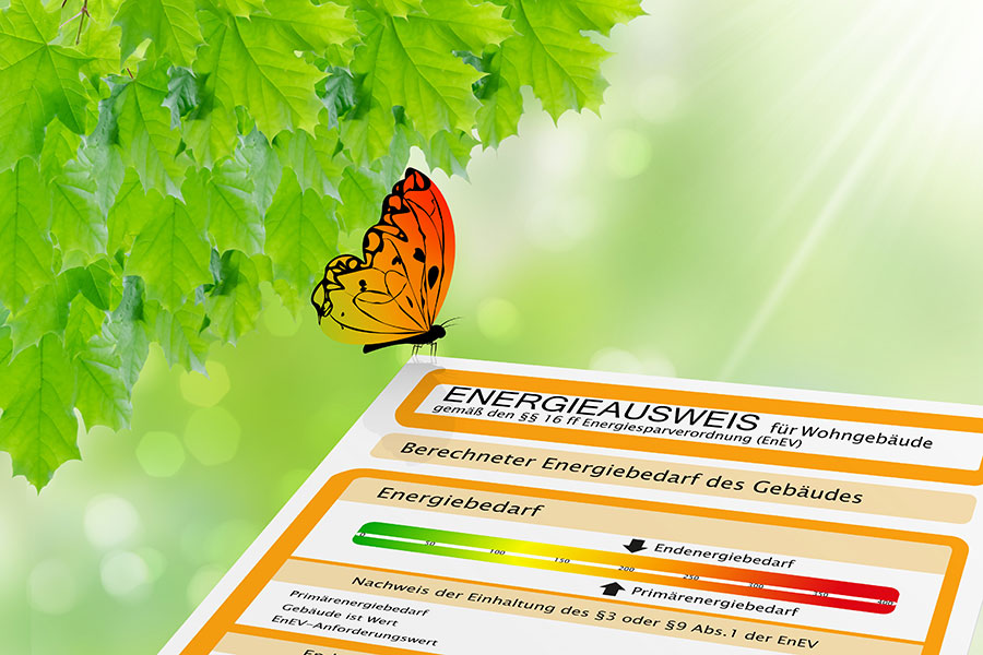 Schmetterling sitzt auf einem Energieausweis für Wohngebäude