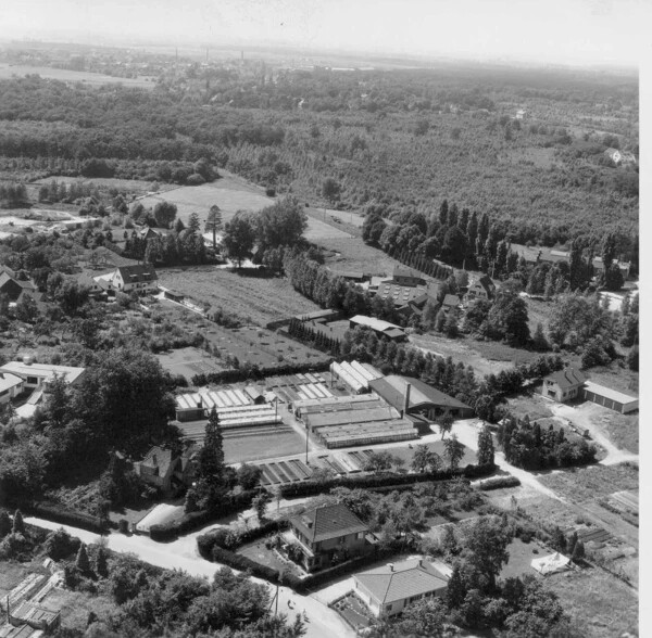 Bergisch Gladbach - Lorenz