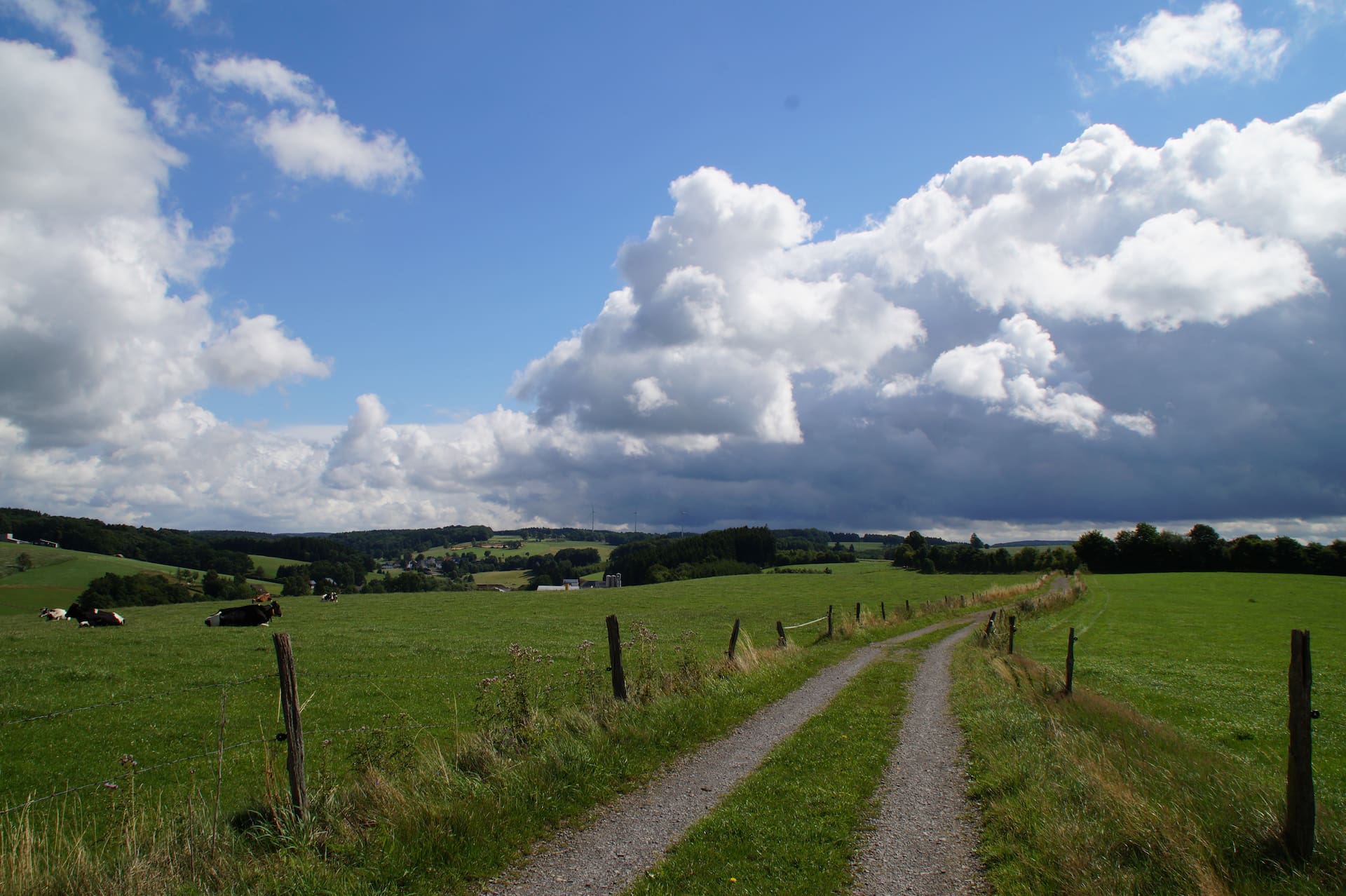 Schotterweg durch grünes Feld unter teilweise bewölktem blauem Himmel.