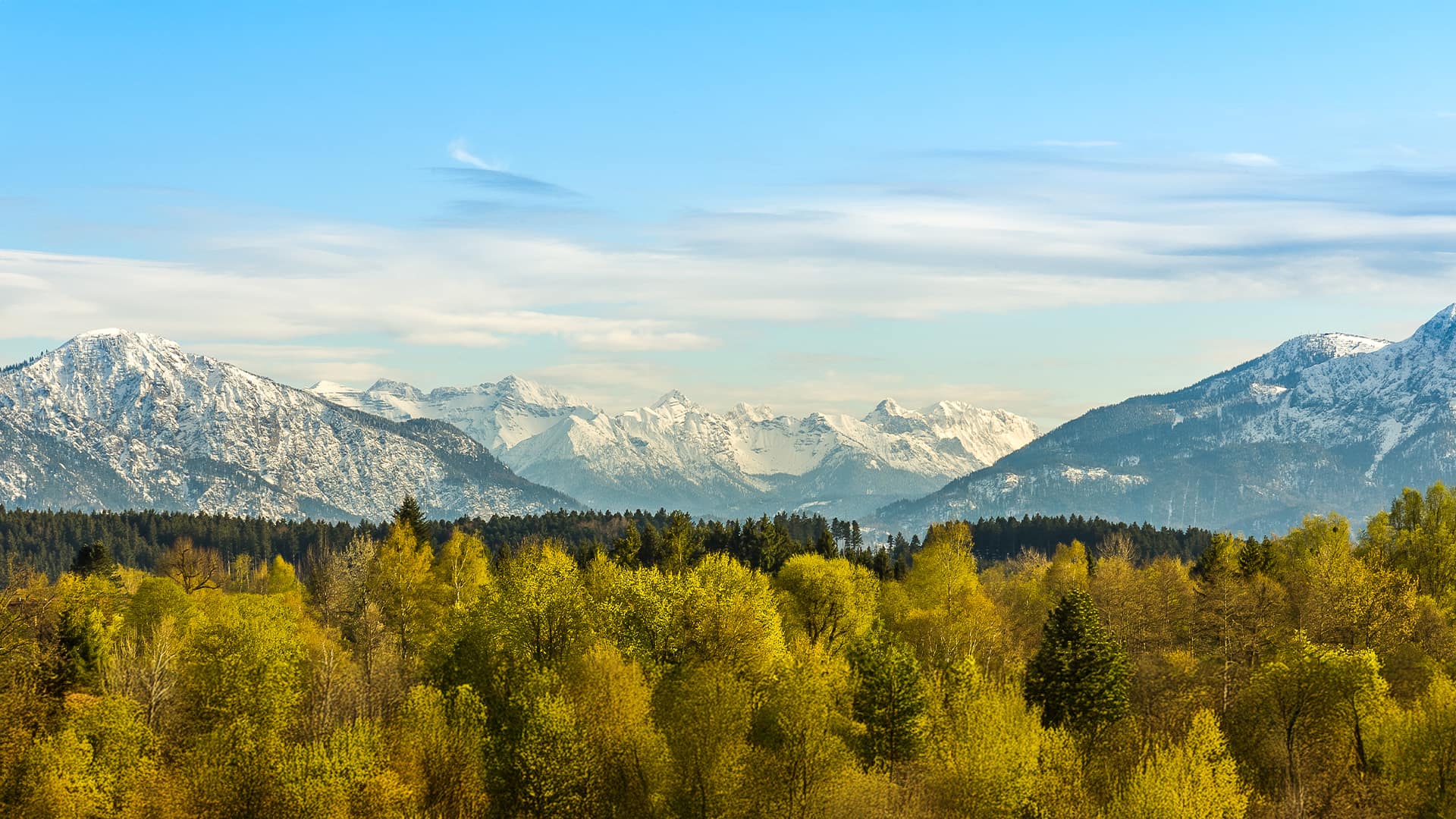 Verschneite Berge und grüne Wälder unter blauem Himmel.