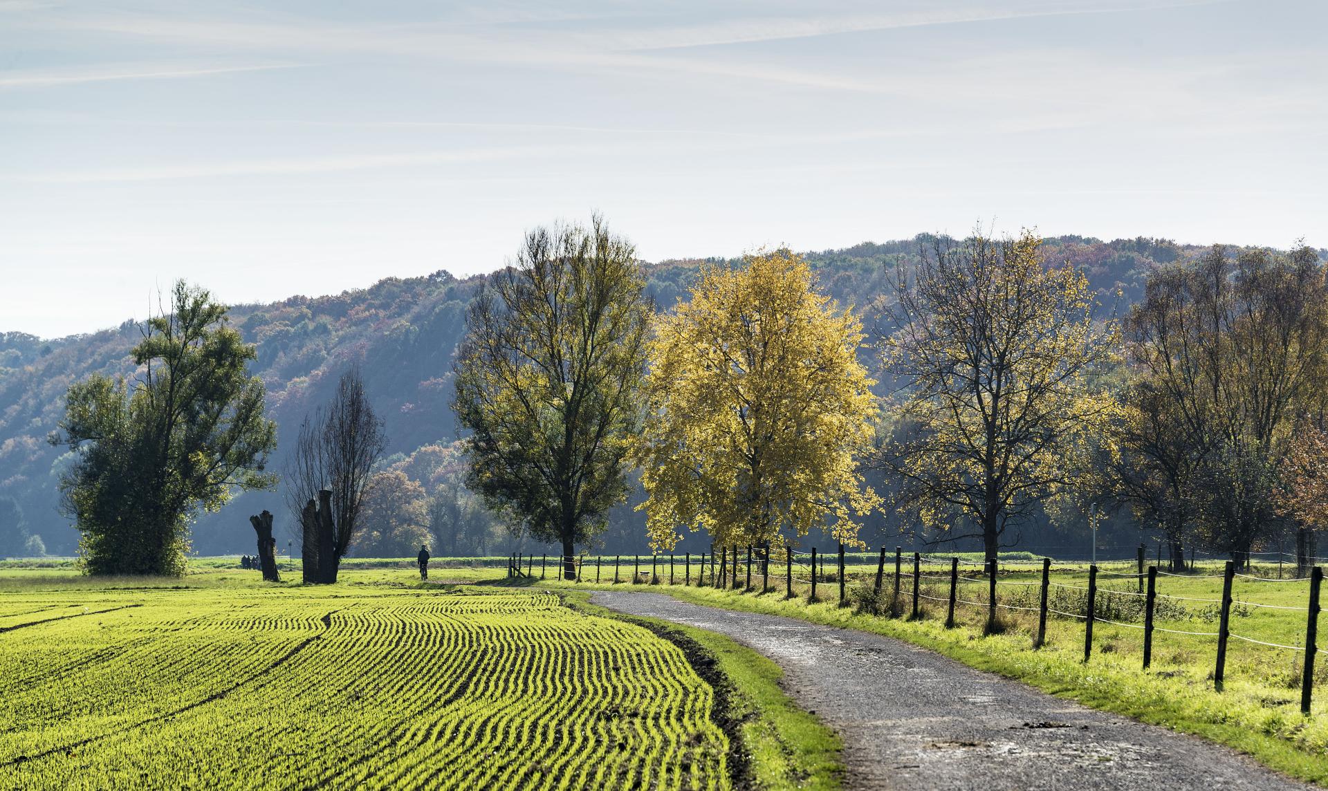 Makler Mülheim-Raadt | Lindner Immobilien