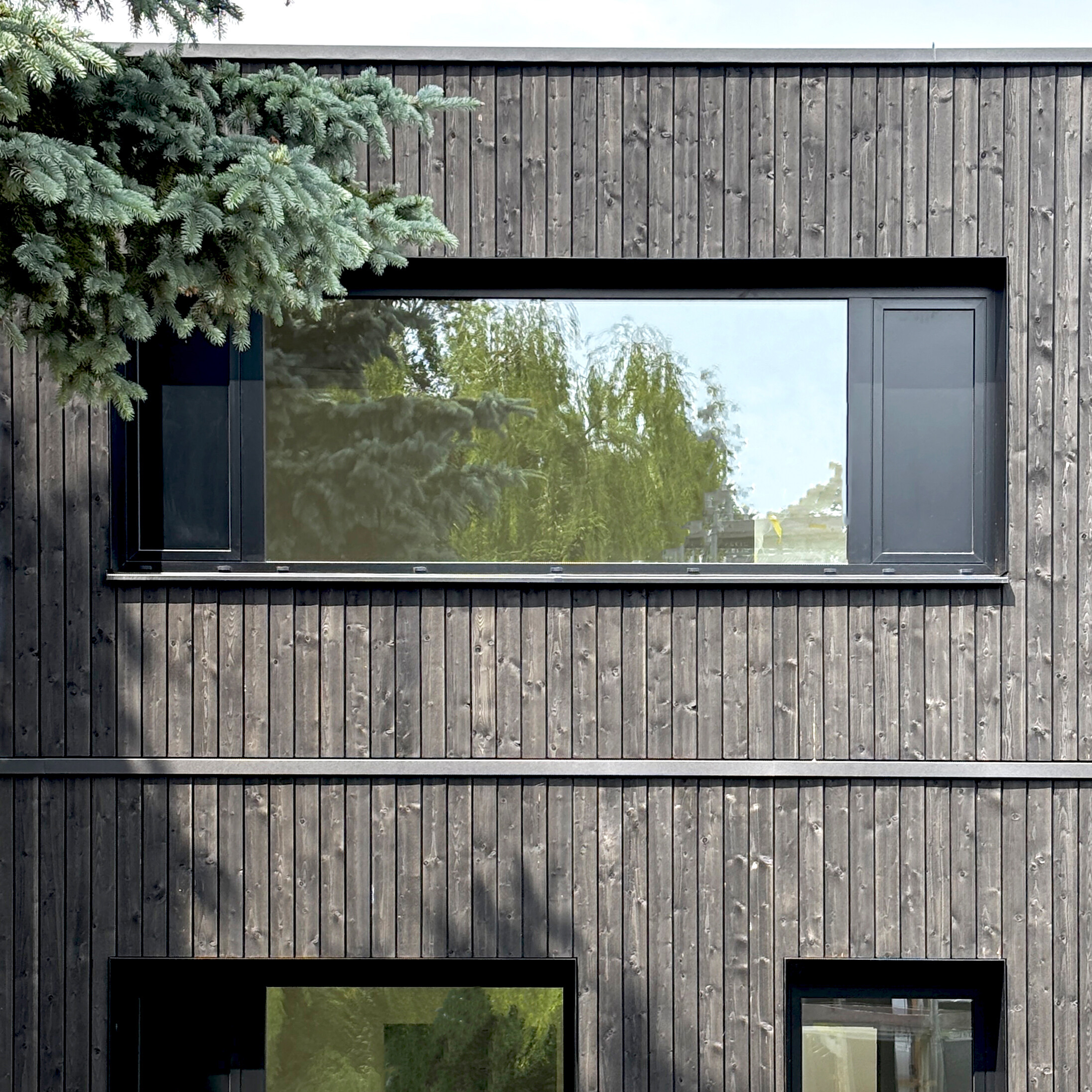 Gebäude mit dunkler Holzfassade, breitem Fenster und Kieferzweigen.