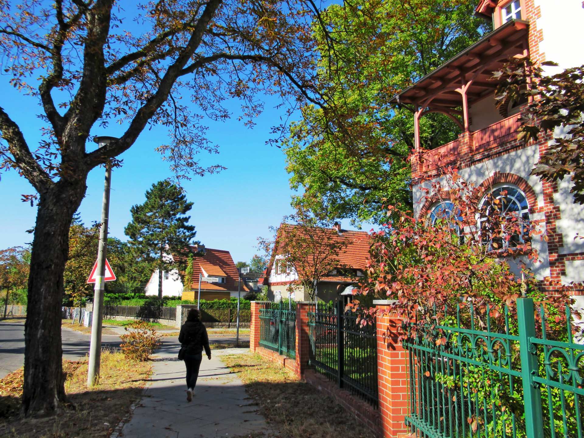 Wohnstraße in Berlin-Wilhelmshagen mit gepflegten Einfamilienhäusern im Grünen.