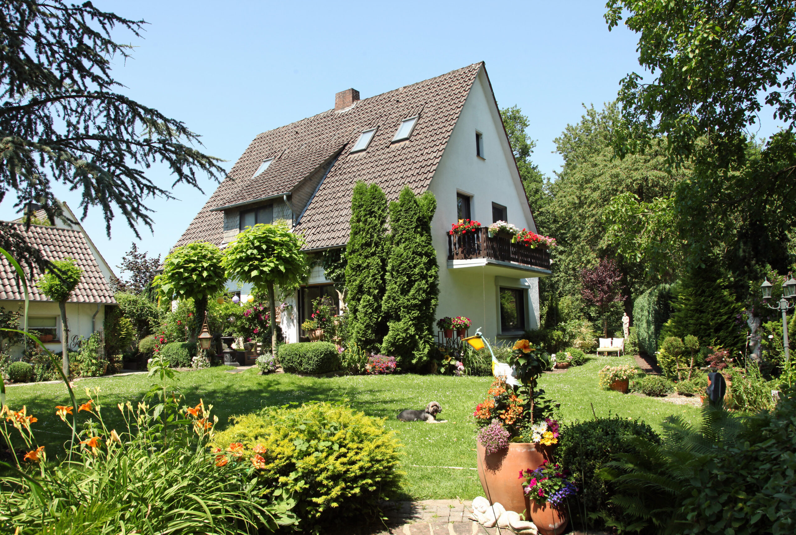 Einfamilienhaus in der Natur