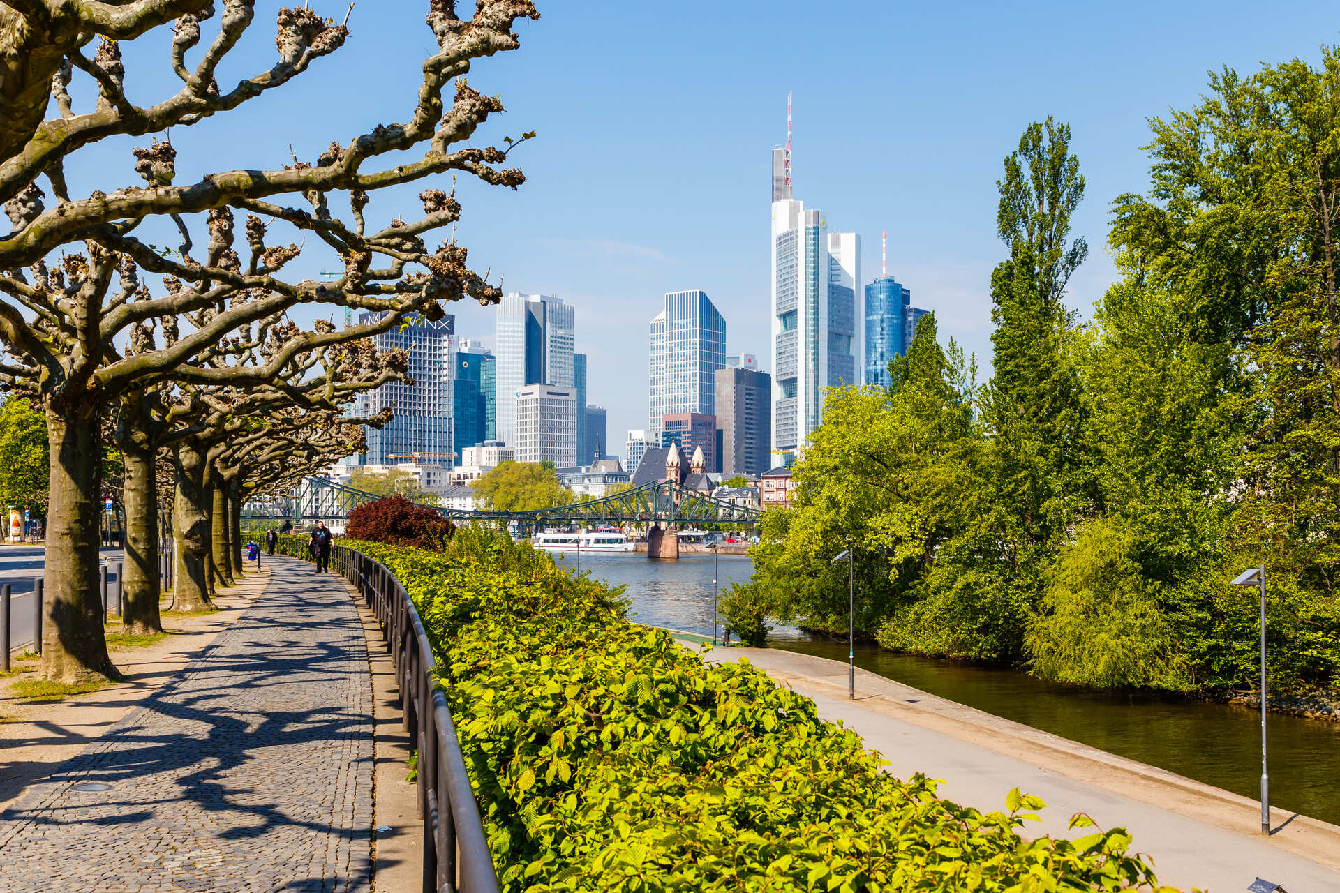 Maininsel und Skyline in Frankfurt