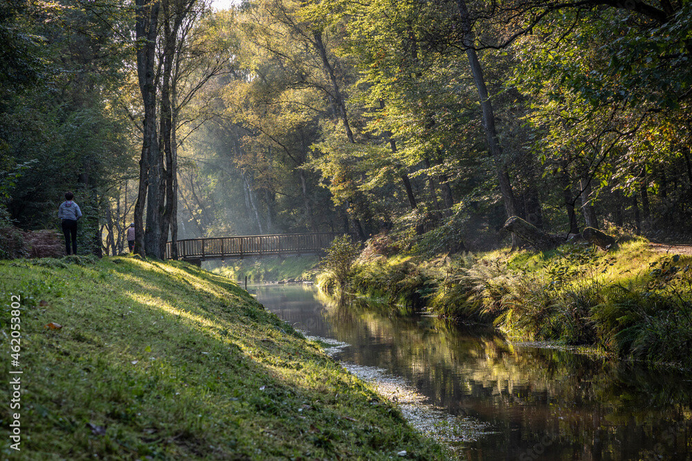 Sonnenbeschienener Flusslauf und Holzbrücke in einem Waldgebiet im Ruhrgebiet.