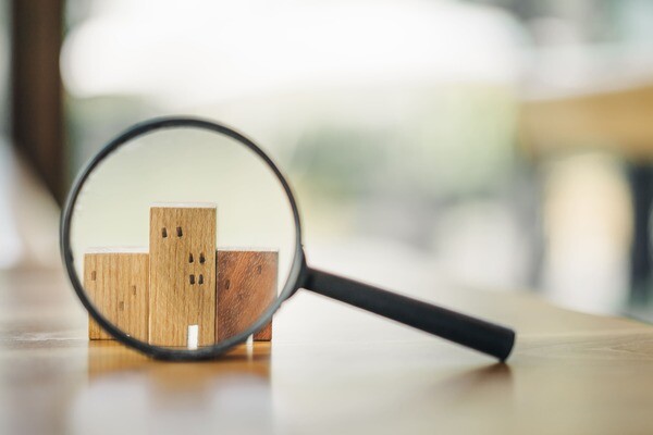 Ein Lupe steht vor mehreren Hausmodellen aus Holz