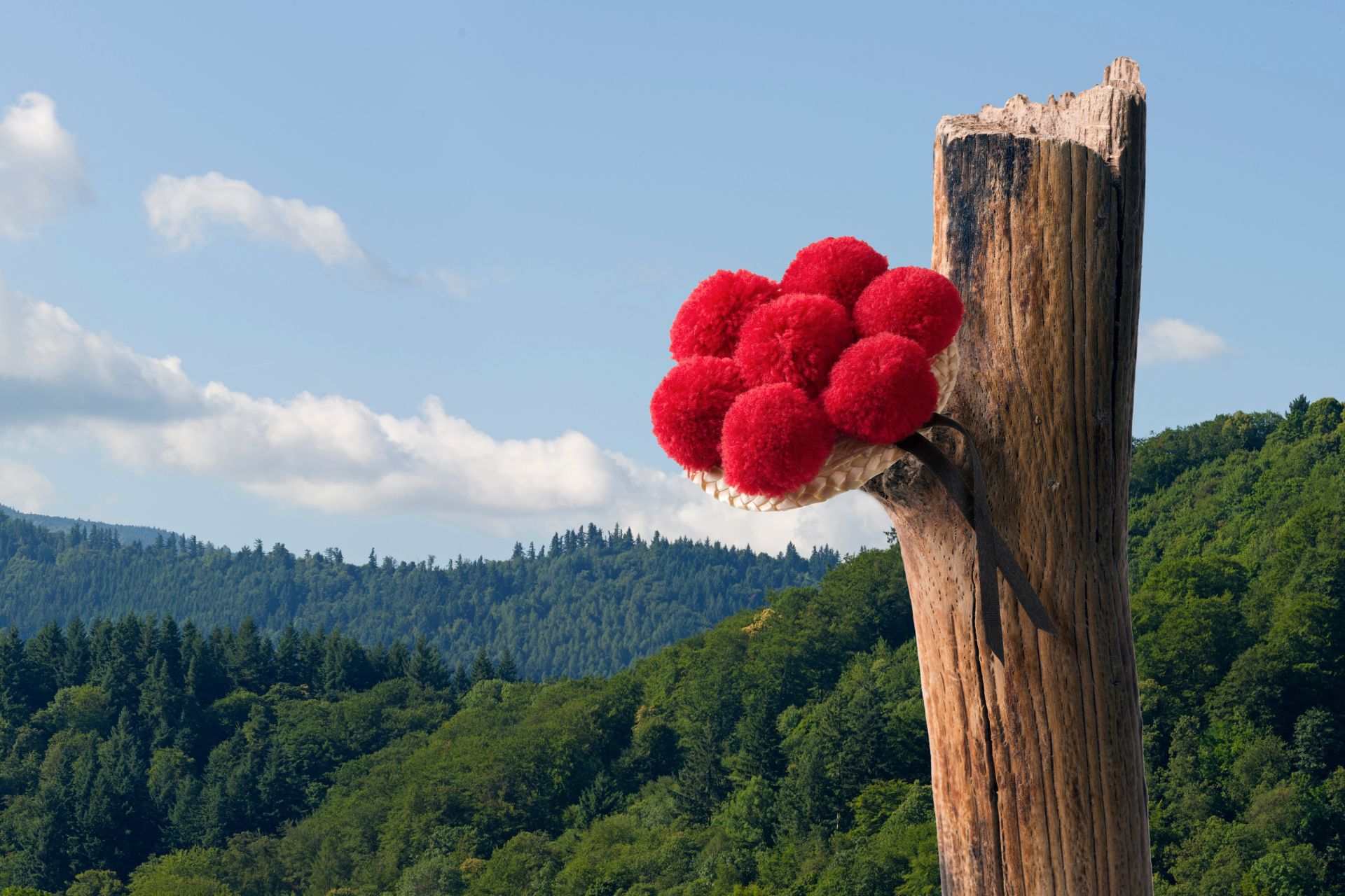 Holzpfosten mit roten Bällen vor Wald und blauem Himmel.