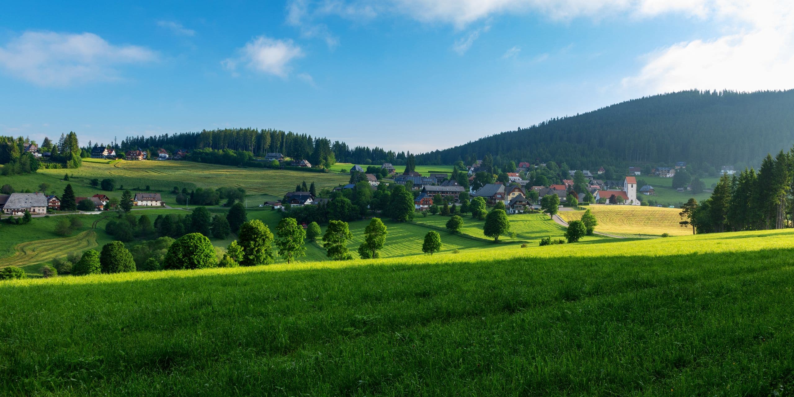 Grüne Hügel, verstreute Häuser, Bäume und blauer Himmel mit Wolken.