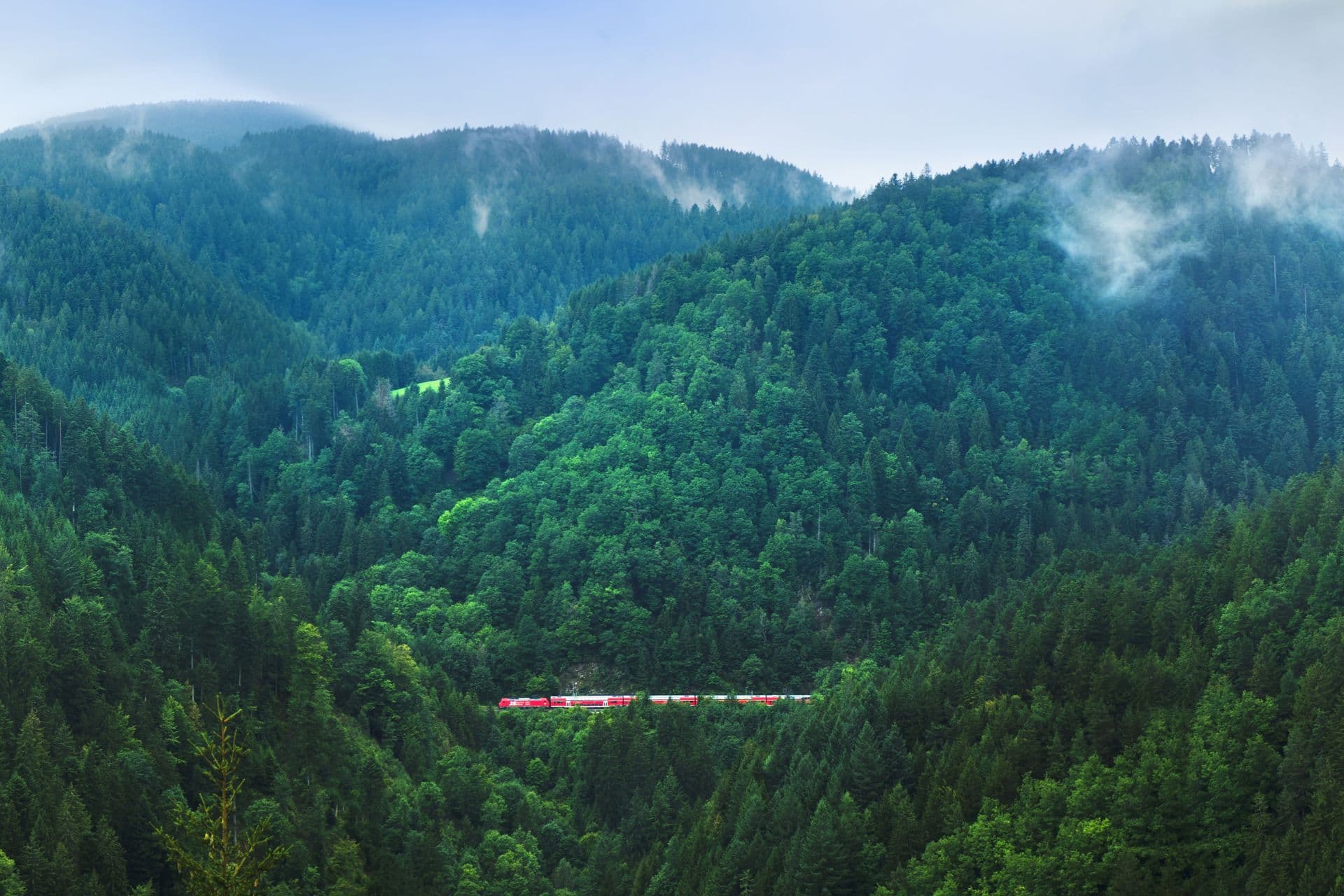 Der rote Zug fährt durch grüne Hügel unter einem wolkenverhangenen, nebligen Himmel.