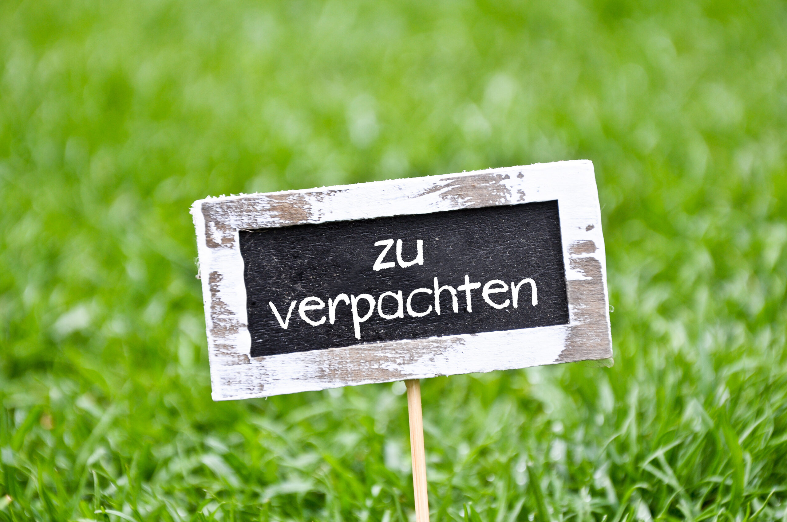 Schild "zu verpachten"