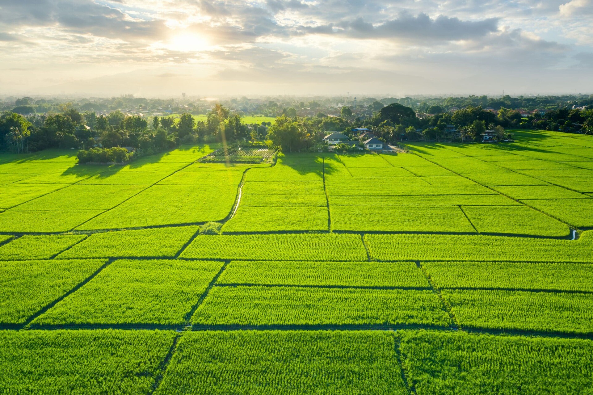 Grüne Felder als freie Grundstücke mit Sonnenlicht, im Hintergrund ein Dorf.