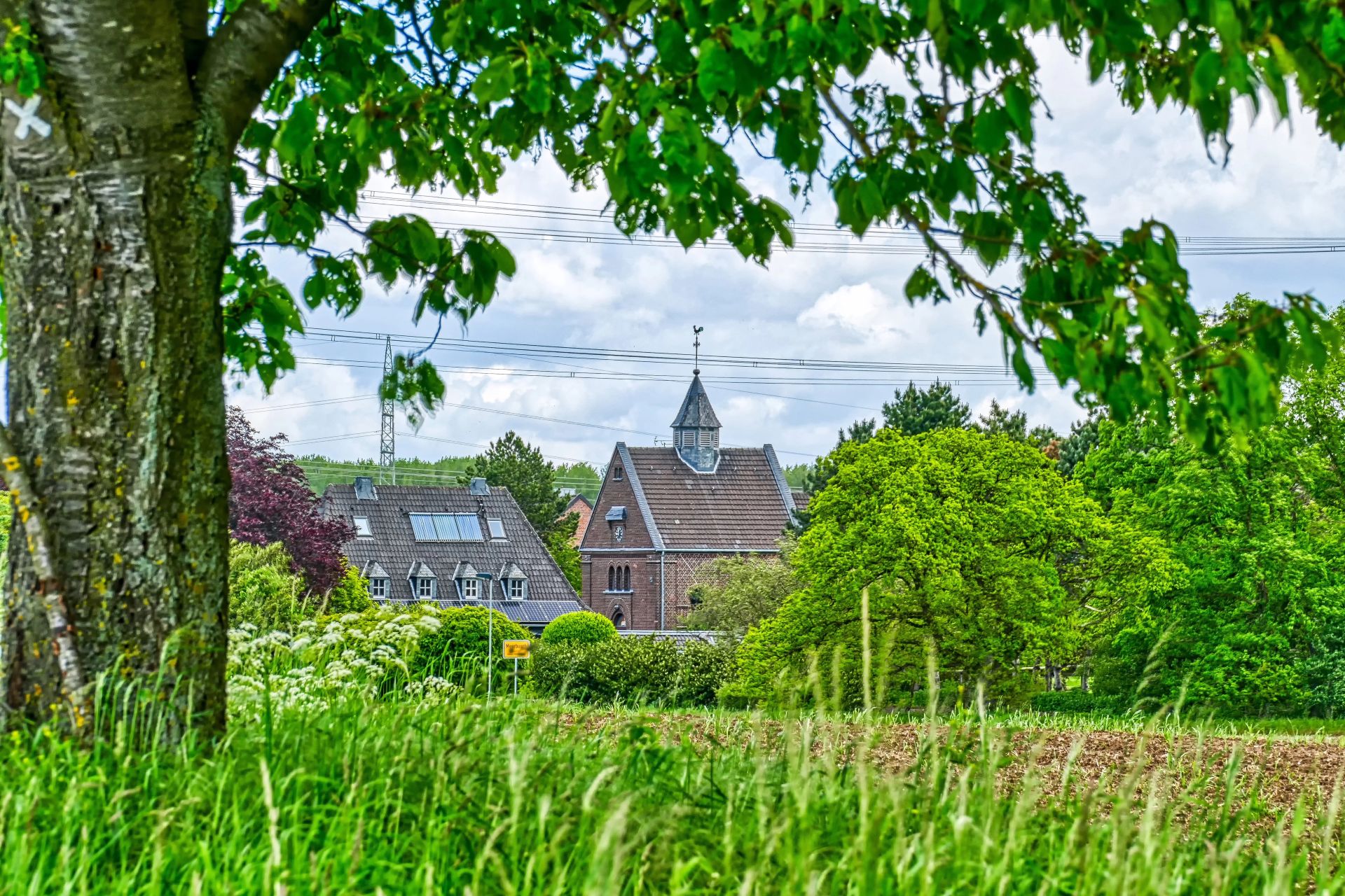 Baum vor Dorf mit Häusern, Grün und teils wolkigem Himmel.