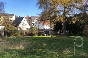 Grasfläche mit Baum, Metallkreis und Häusern vor blauem Himmel.