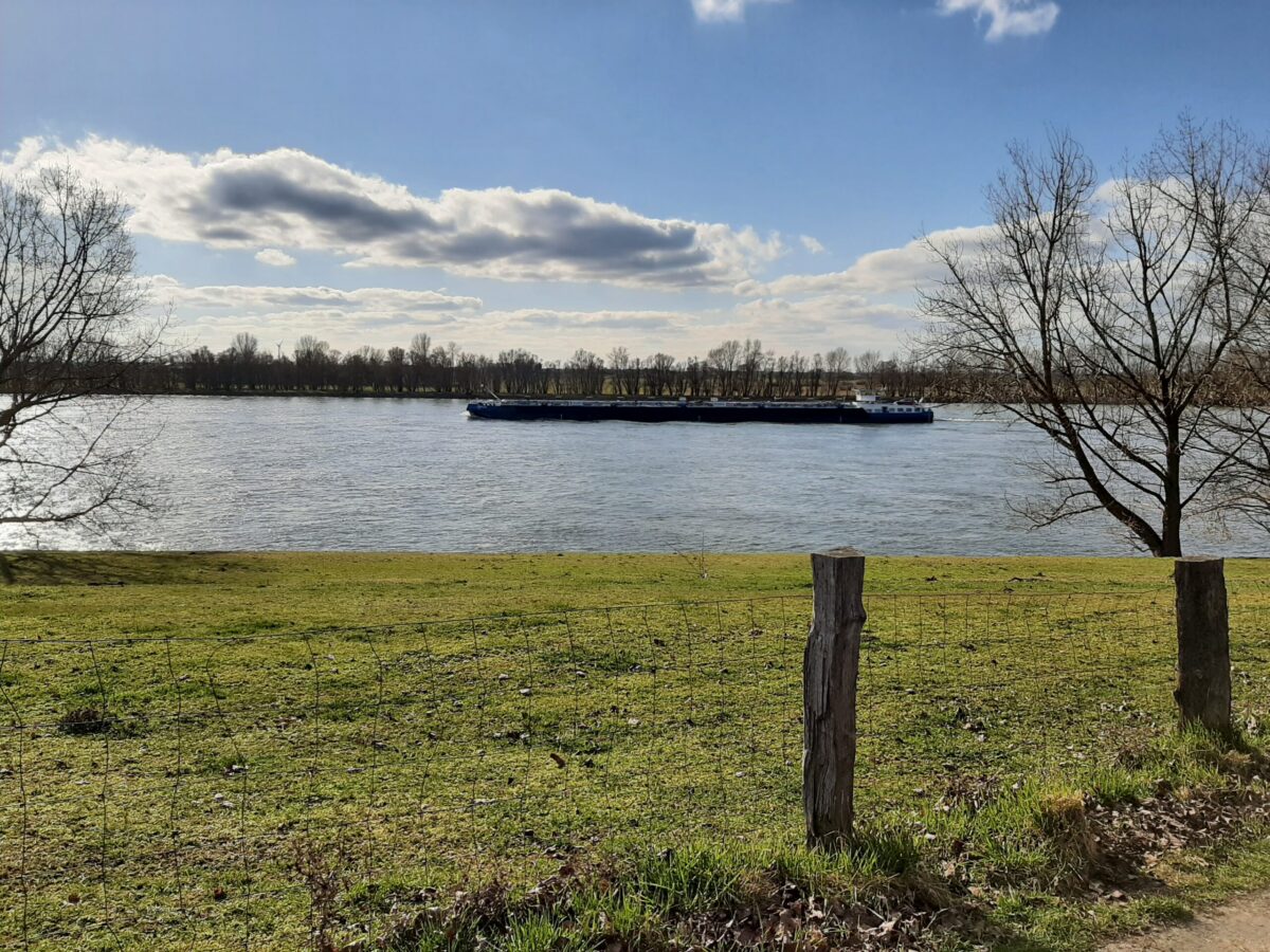 Rheinlandschaft am Niederrhein bei Dinslaken