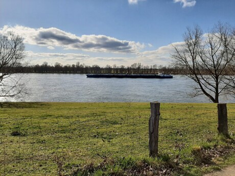 Rheinlandschaft am Niederrhein bei Dinslaken