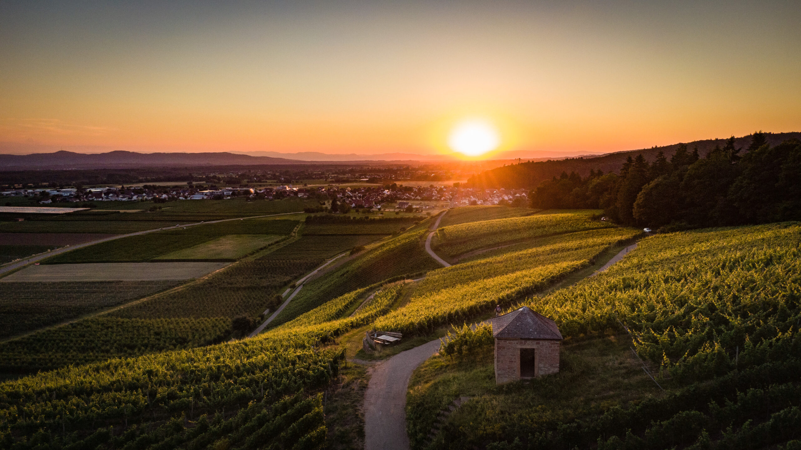 Sonnenuntergang über Weinbergen, Gebäude und Wege im Dorf.