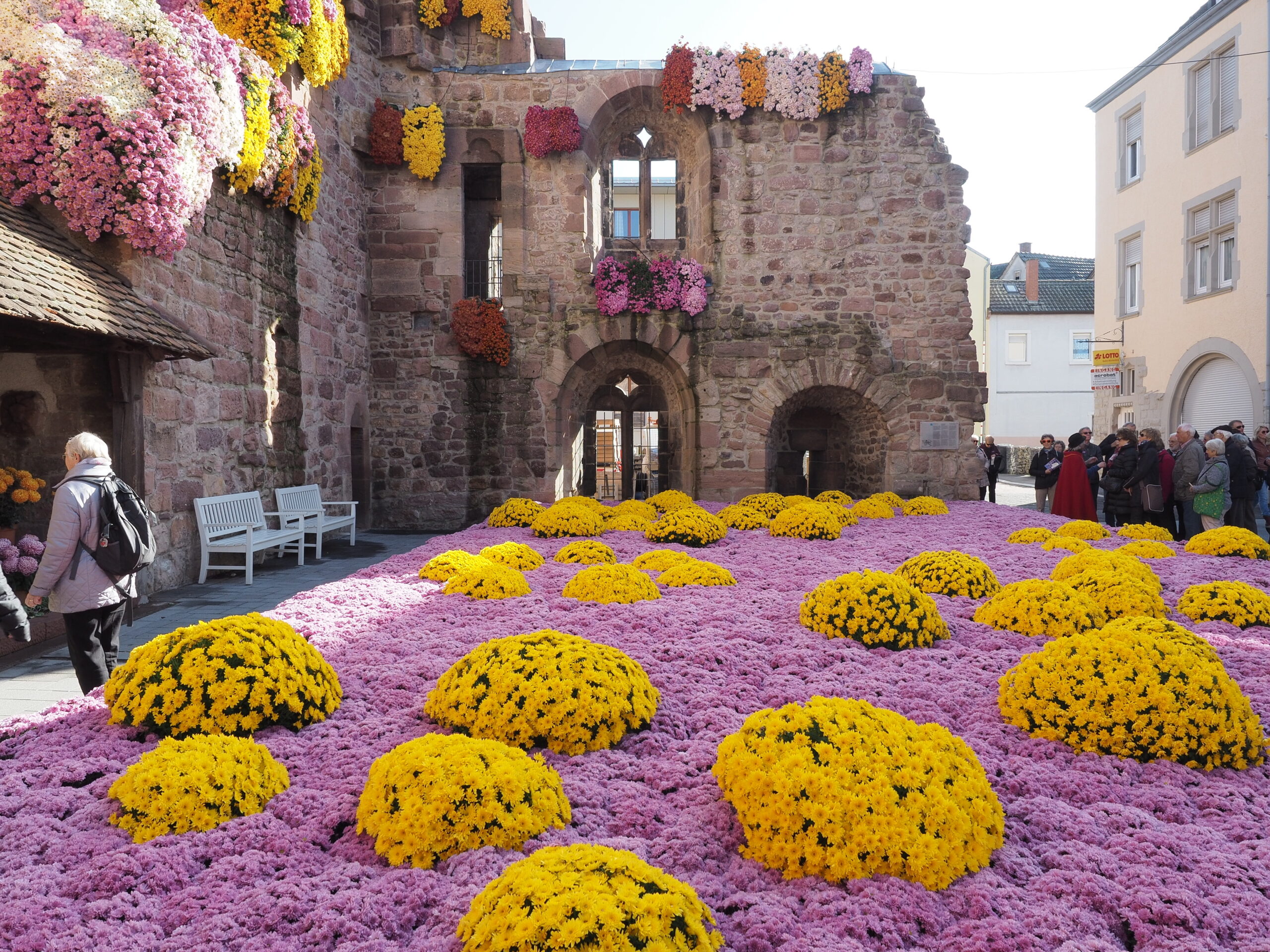 Steinshof mit pinken Blumen, gelben Chrysanthemen, Menschen in der Nähe.