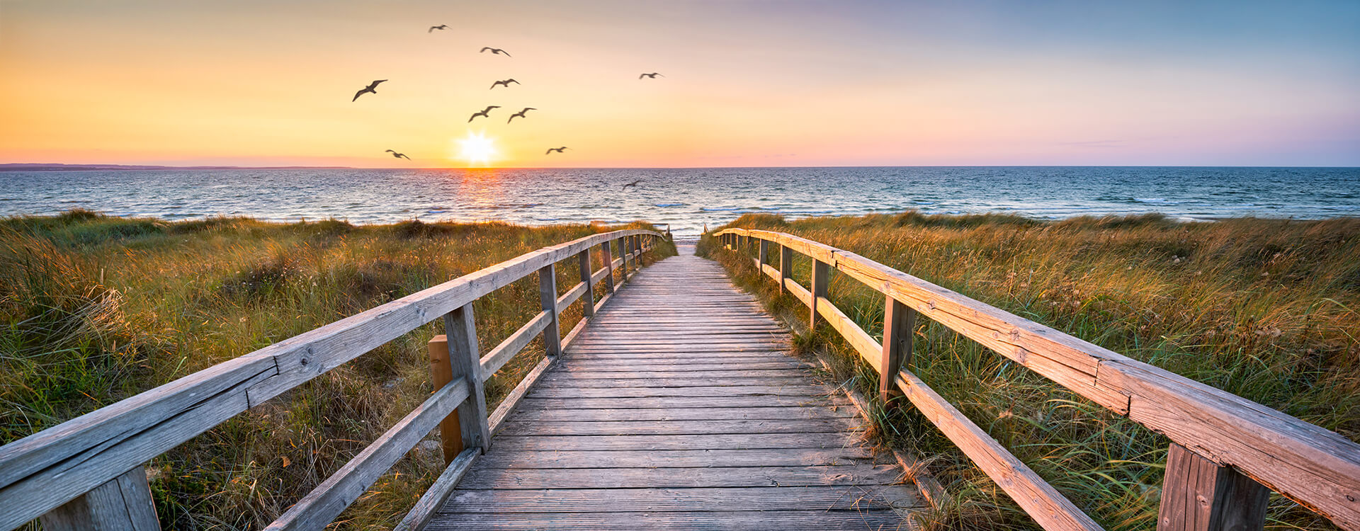 Blick auf Dünen und Meer dahinter