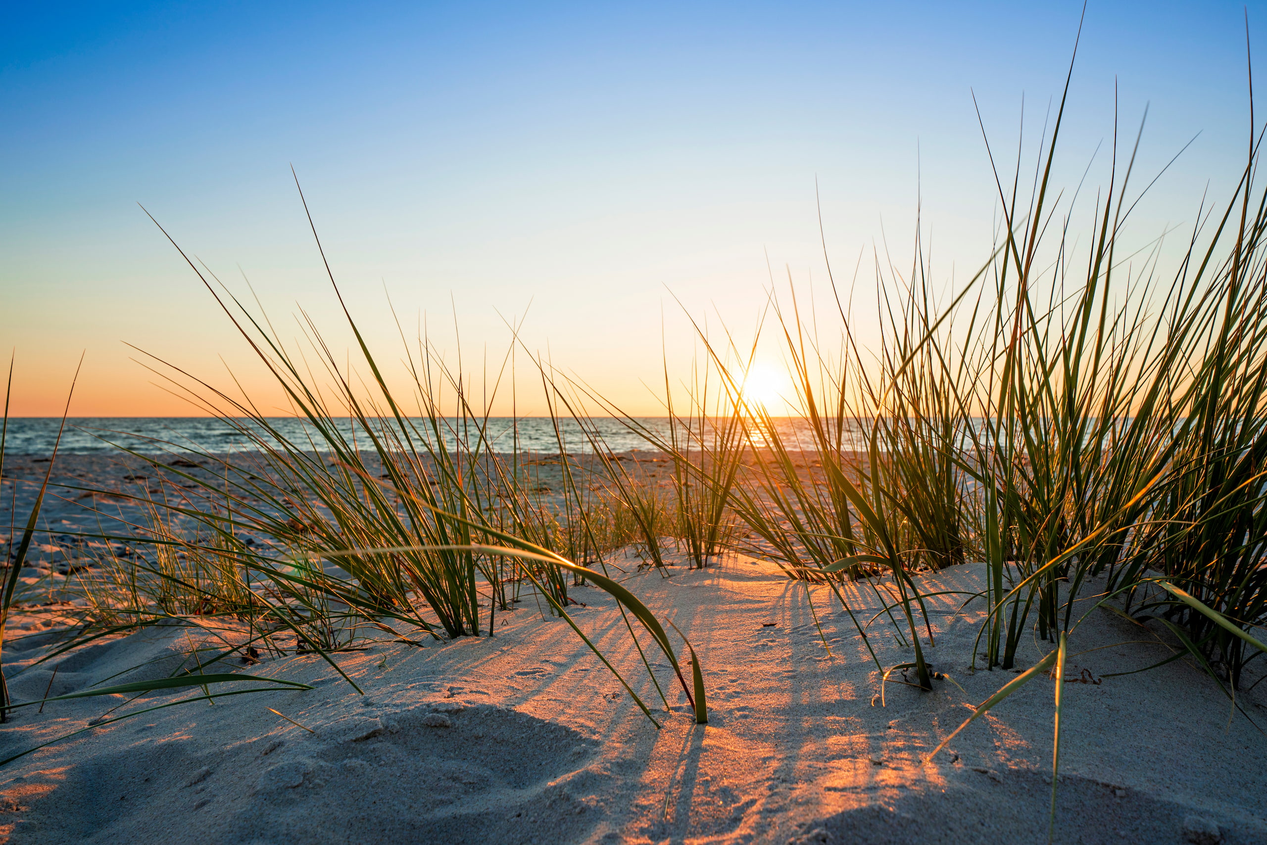 Strandgras im Sand bei Sonnenuntergang, Sonne tief am Meer.