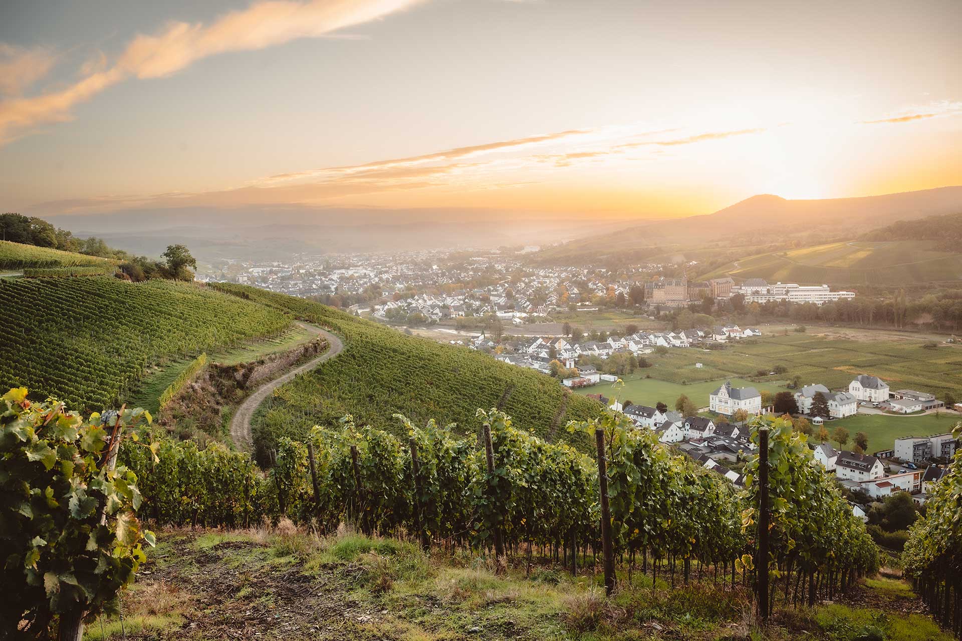 Luftansicht auf die Verkaufsregion Kreis Ahrweiler