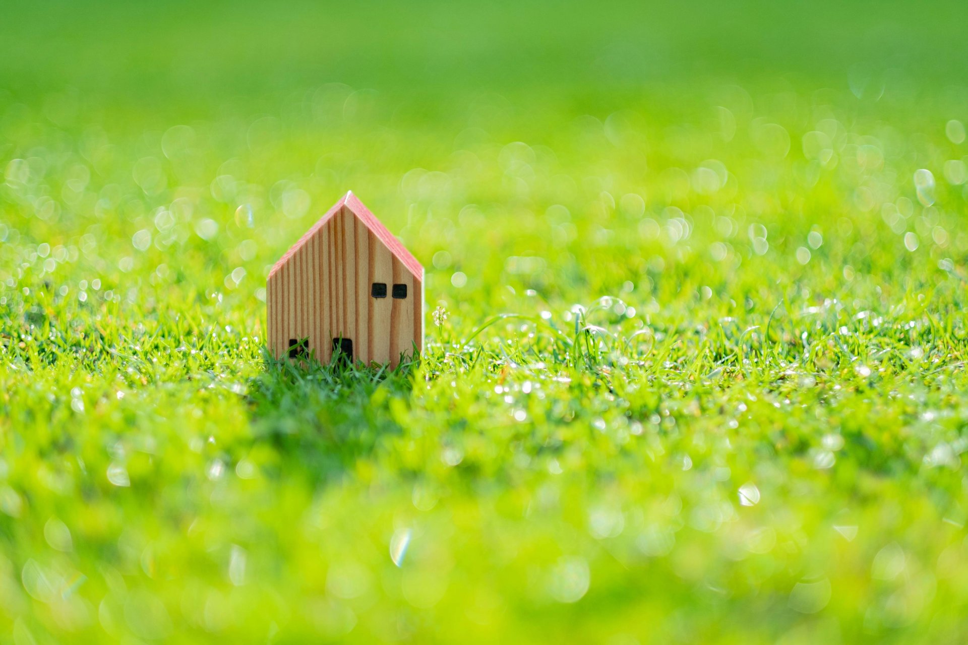 Miniatur-Holzhaus steht auf einer grünen, sonnigen Wiese.