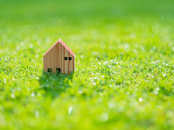 Miniatur-Holzhaus steht auf einer grünen, sonnigen Wiese.