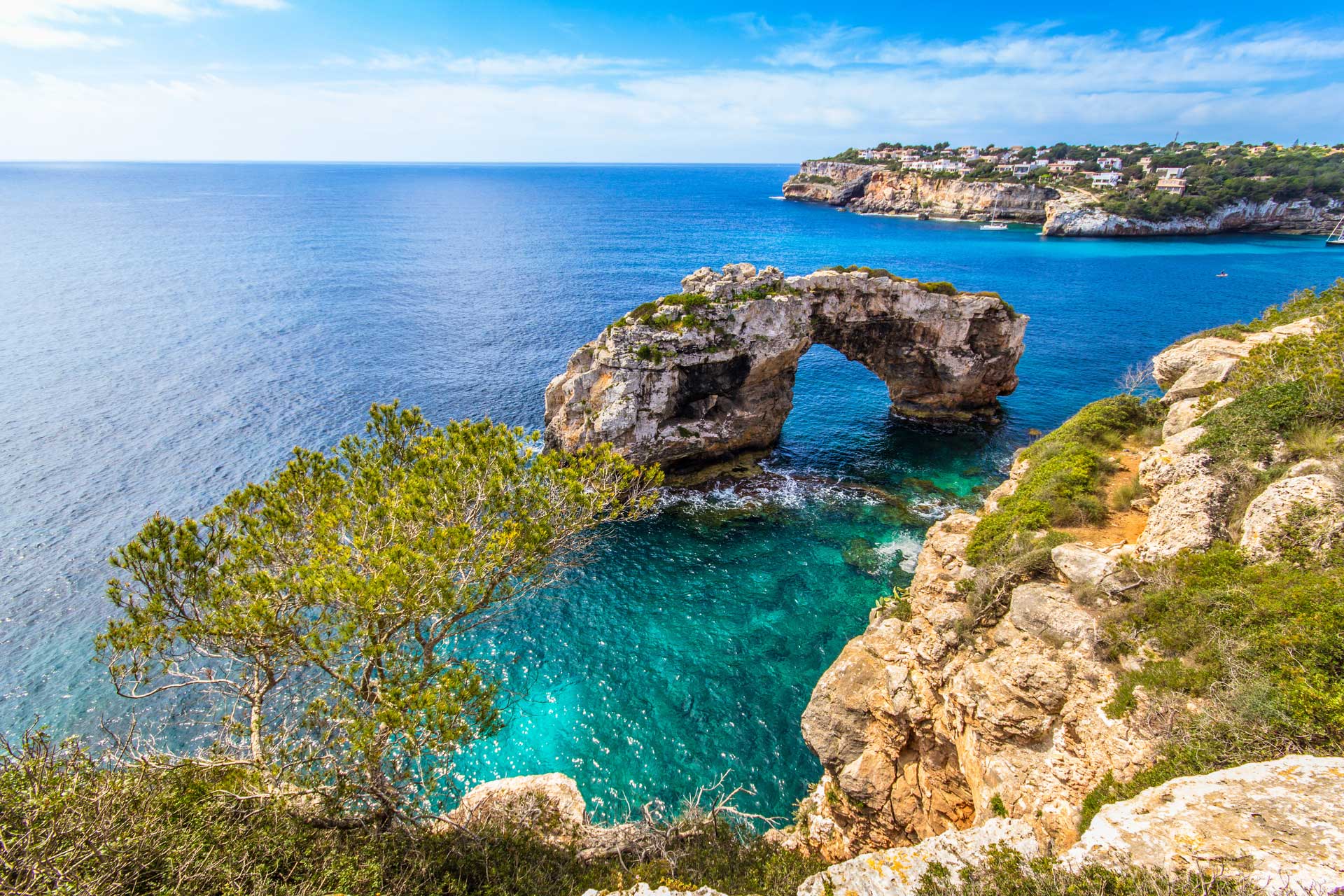 Blick hinunter von der Steilküste