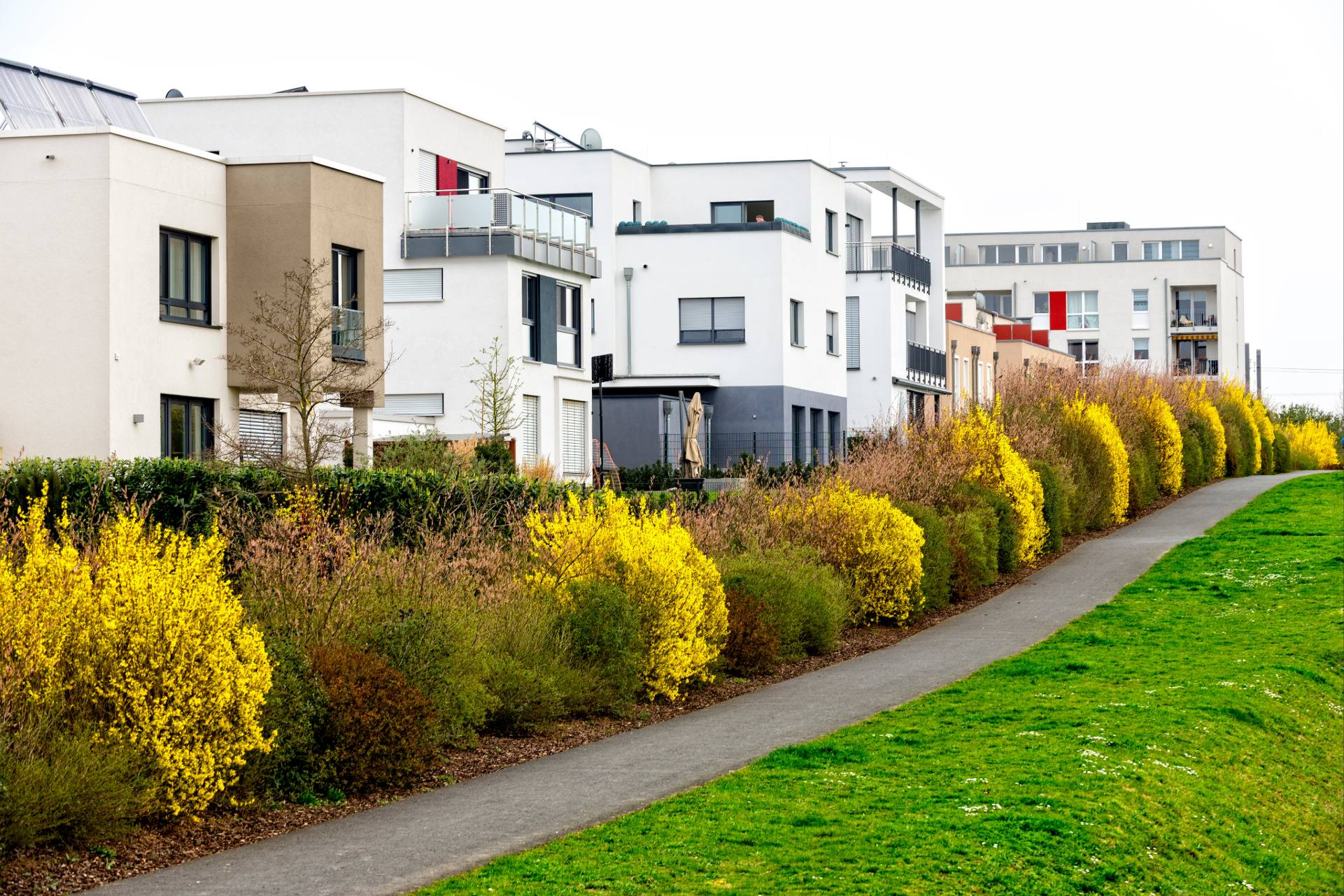 Moderne Mehrfamilienhäuser mit gepflegtem Fußweg und blühenden Hecken.