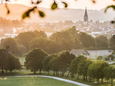 Eine Stadt im Tal, beleuchtet von warmem Sonnenlicht, mit einem prominenten Kirchturm, umgeben von grünen Feldern und sanften Hügeln.