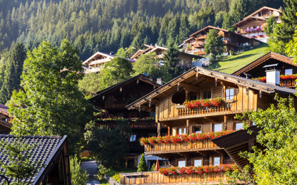 Bild auf Siedlung in Alpbach