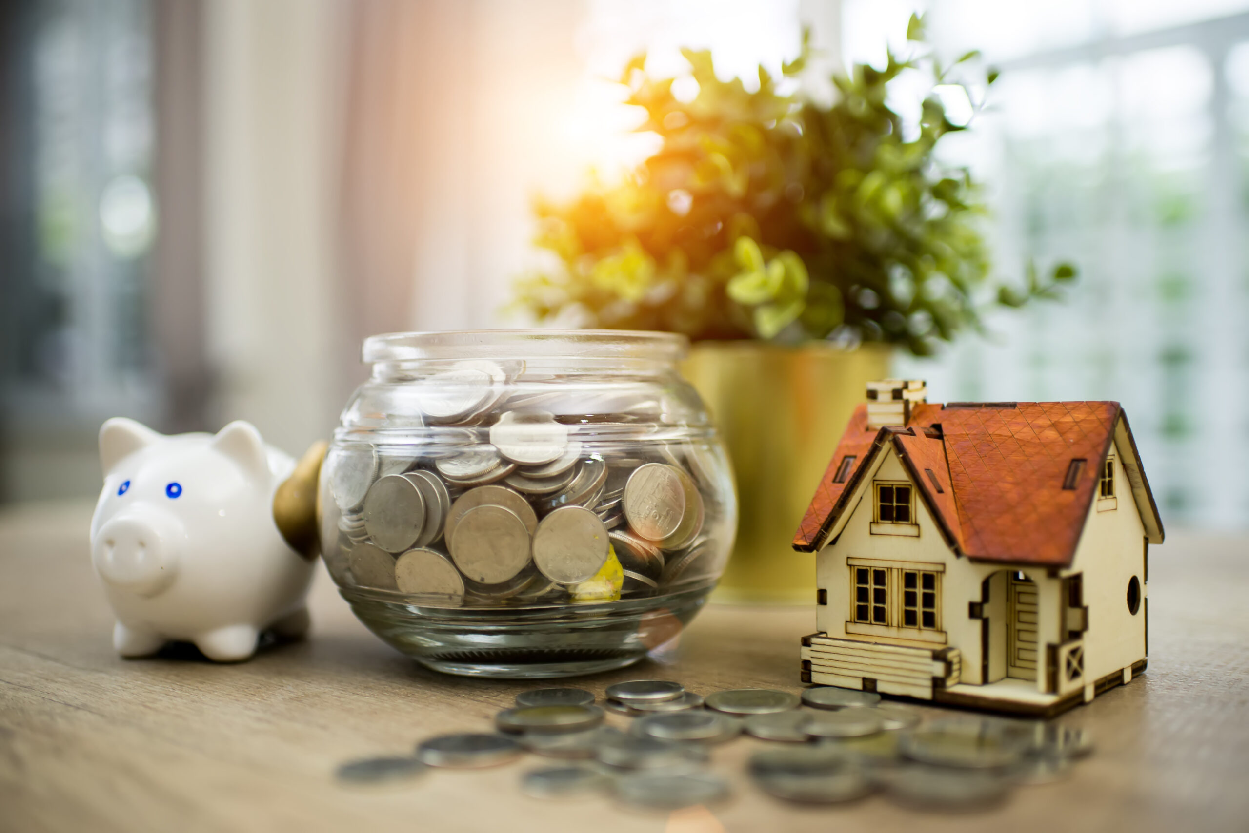 Sparschwein, Münzgefäß und Modellhaus auf einem Tisch mit Pflanze.