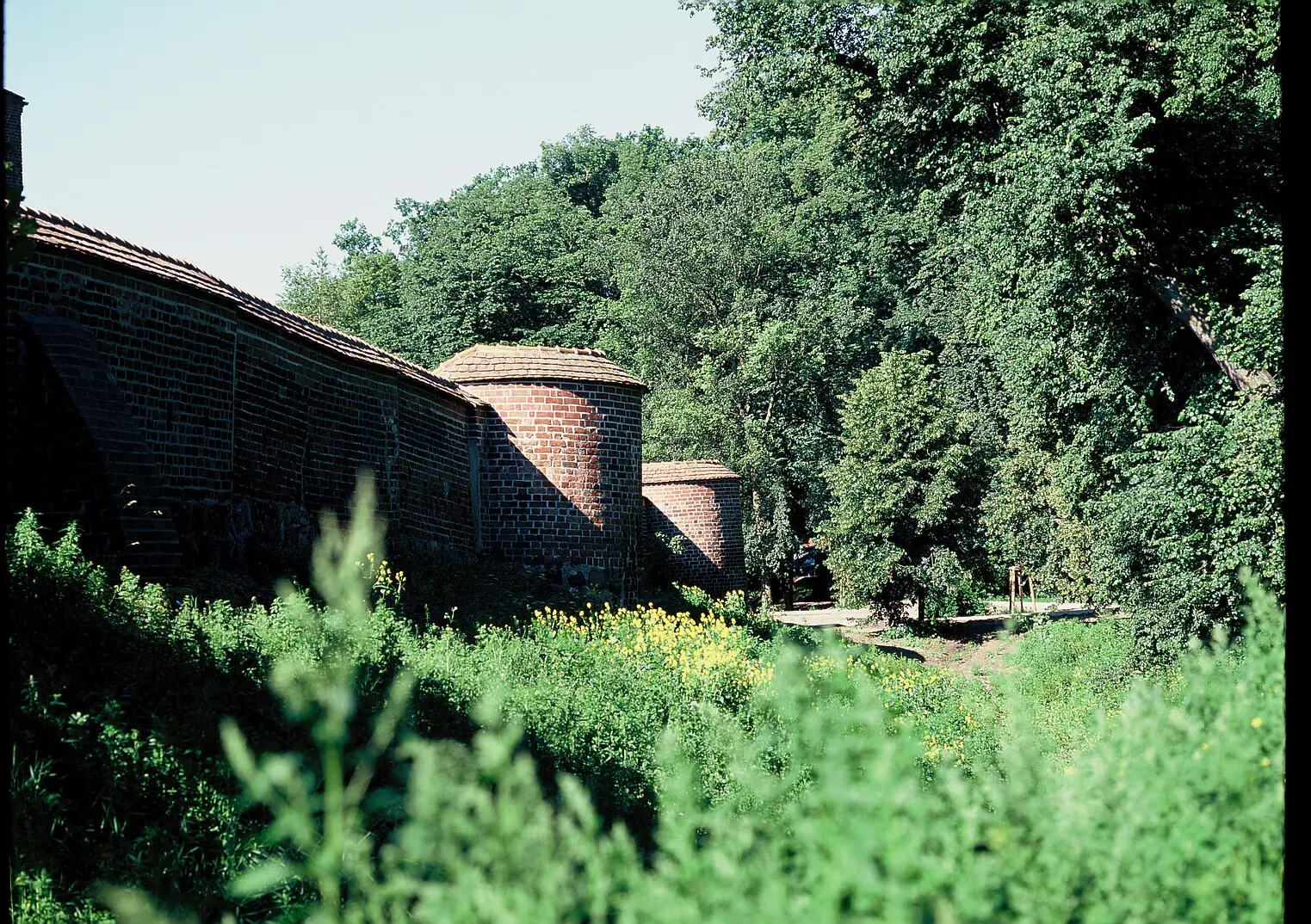 Alte Stadtmauer im Grünen an einem sonnigen Tag.