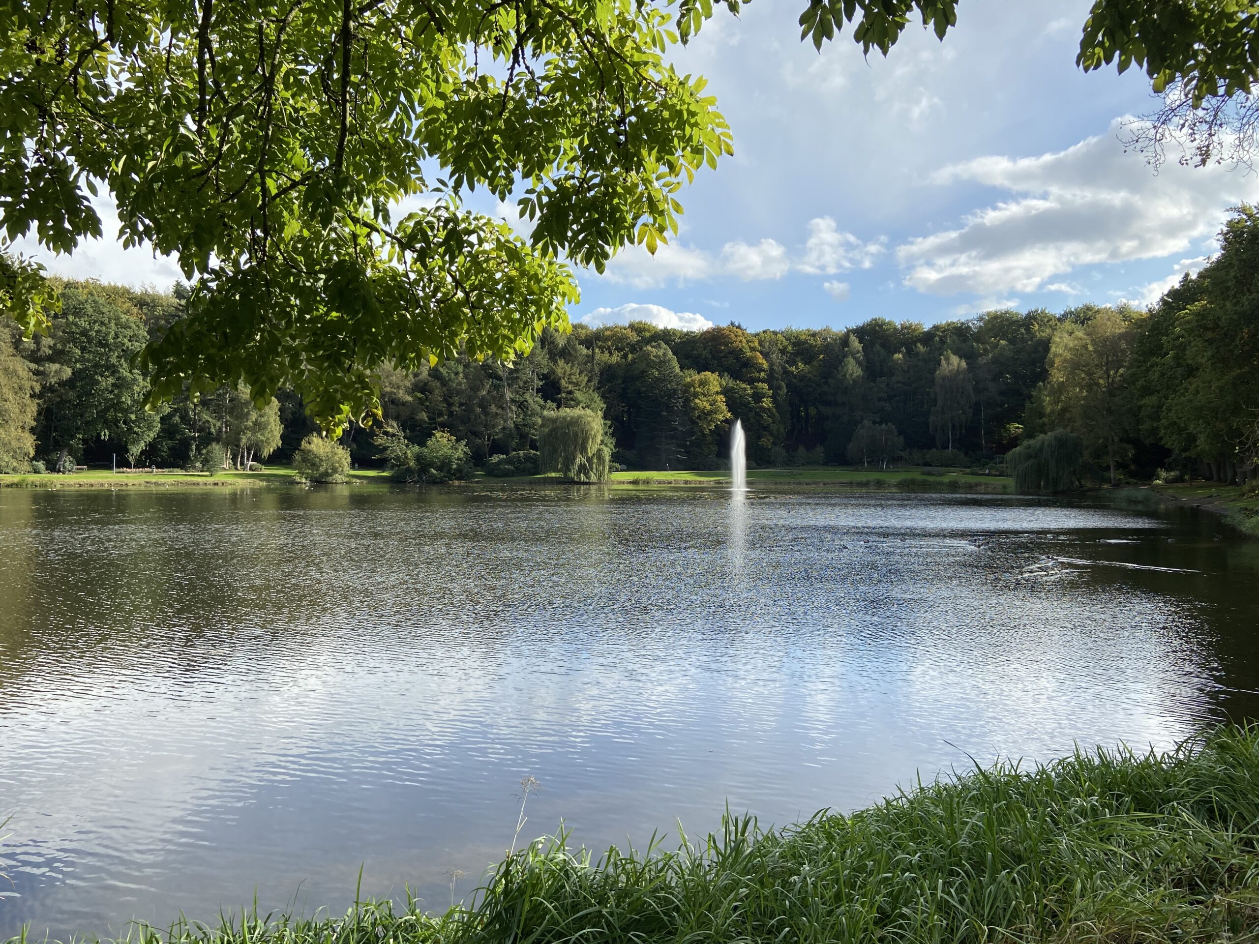 Schmelzer Immobilien | Ihr Schlüssel zum perfekten Zuhause