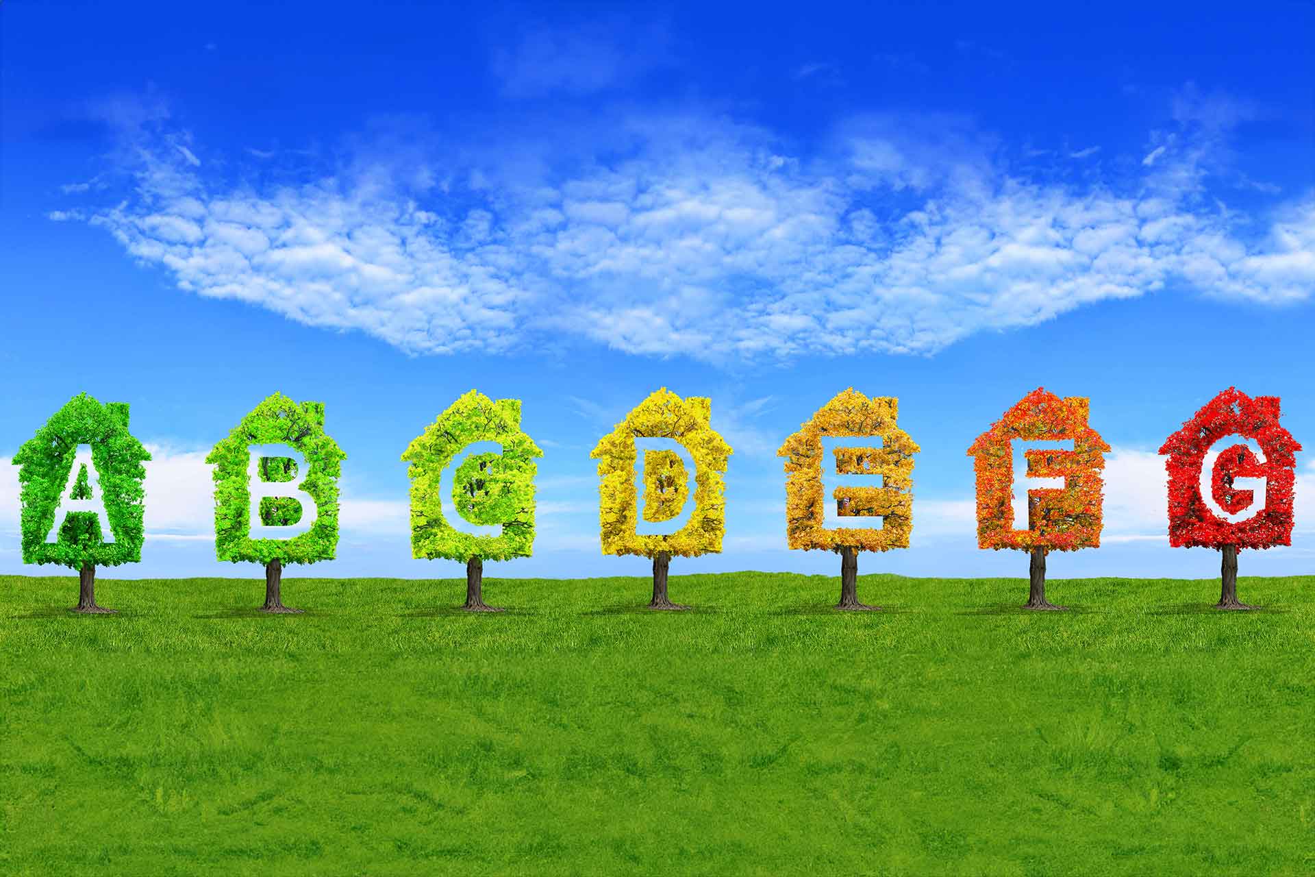 Darstellung der Energieeffizienzklassen in Form von farblichen Bäumen mit dem entsprechenden Buchstaben