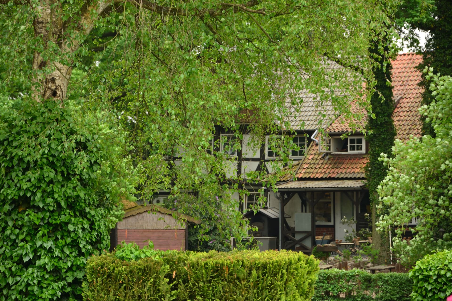Blick auf ein altes Wohnhaus in Wathlingen hinter Bäumen