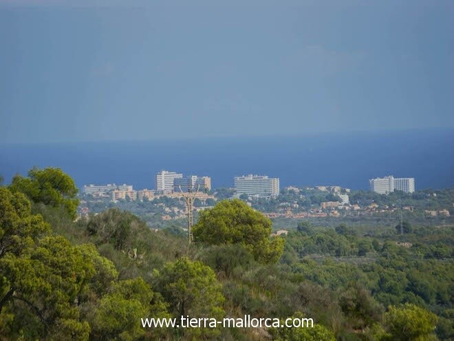 Calas de Mallorca direkt am Meer gelegen