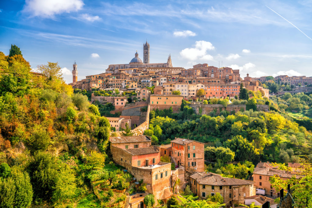 Downtown Siena-Skyline