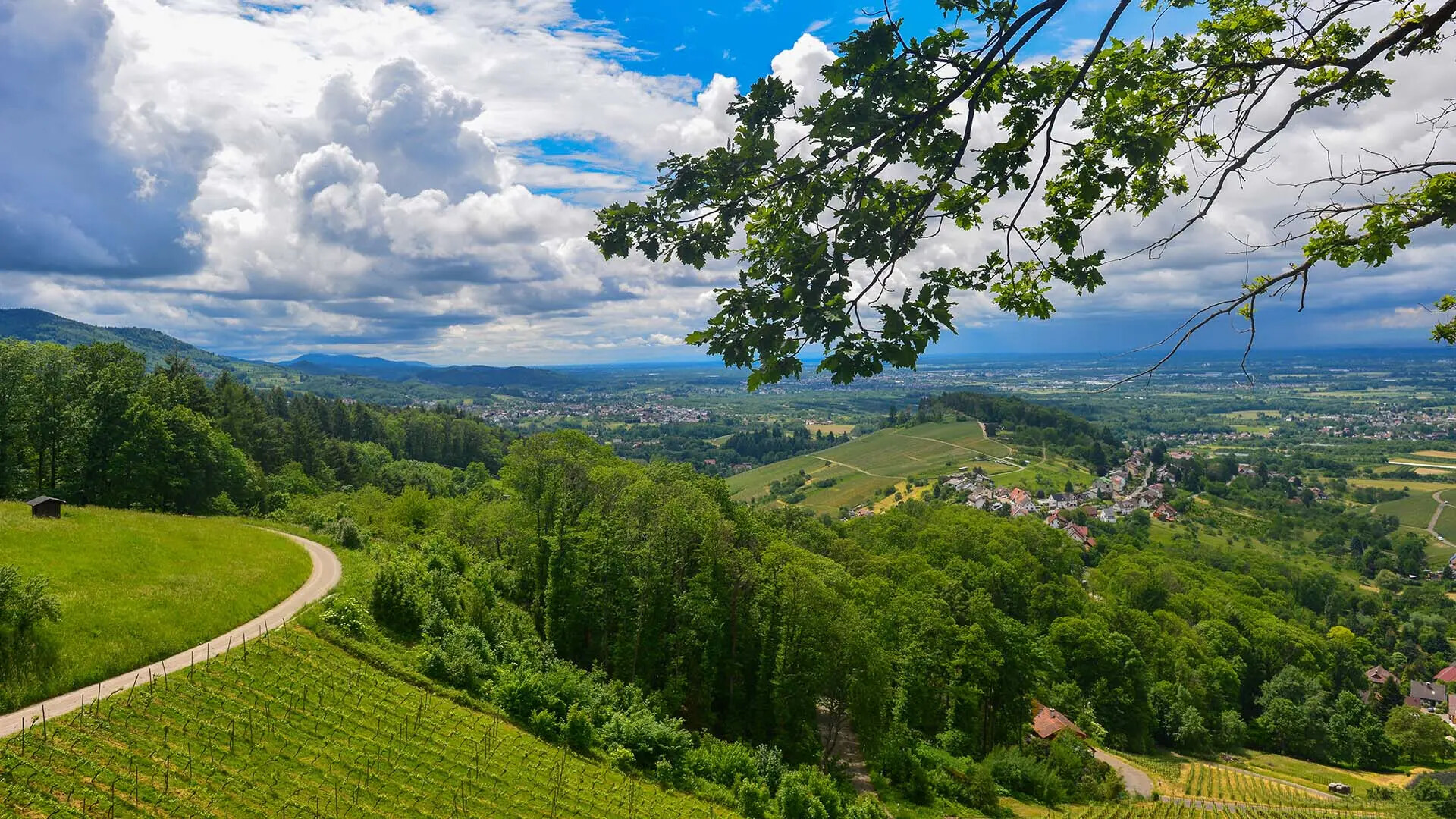 Oberrheinische Tiefebene des Ortes Bühl im Landkreis Rastatt
