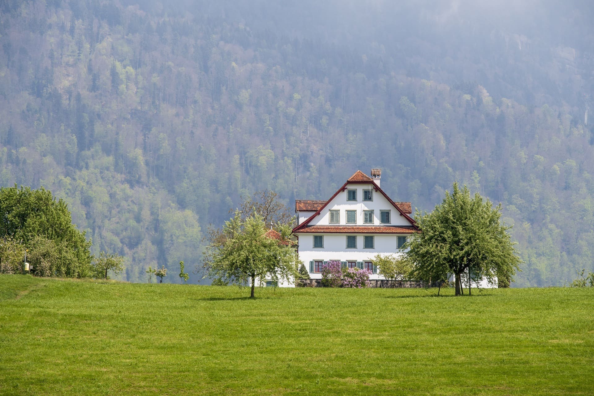 Großes weißes Haus mit rotem Dach auf einer grünen Wiese im Schwarzwald, Bäume und Hügel dahinter