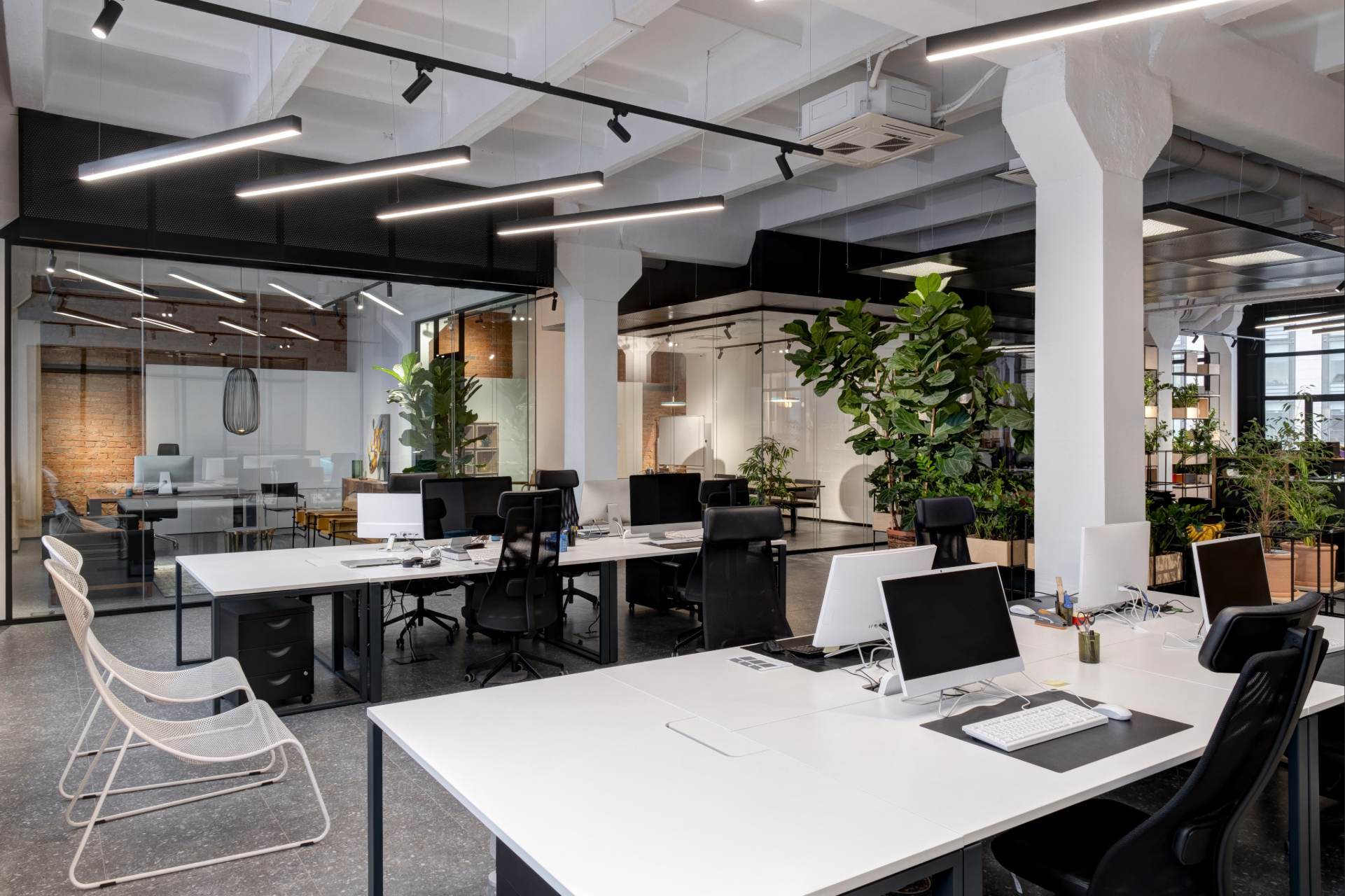 Offenes Büro mit weißen Schreibtischen, Computern und Pflanzen.